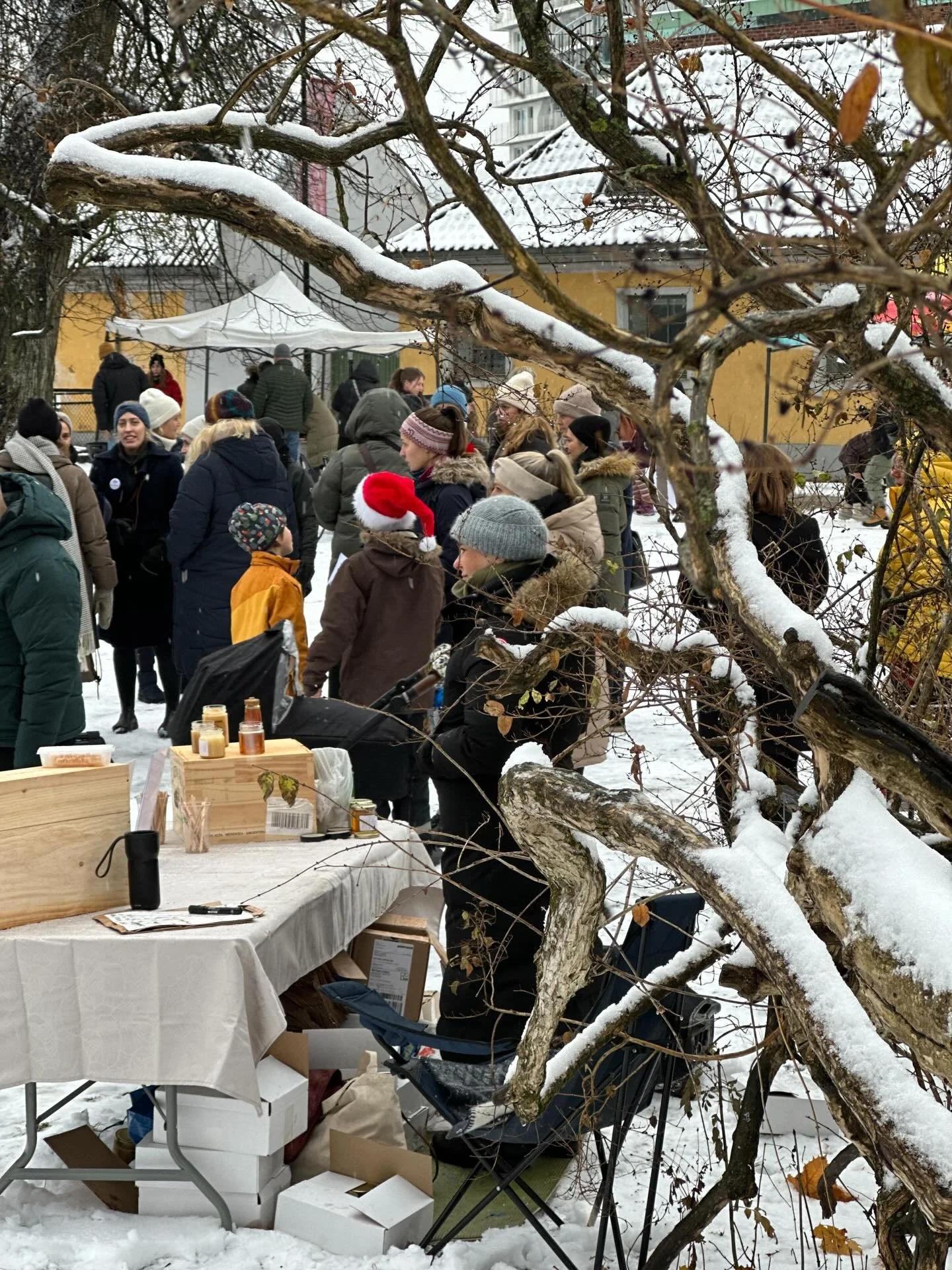 🎄 JUL I M&Oslash;LLEBYEN 🎄

I dag fra 11:00 er det julestemning &aring; hente i heilmannsparken.

Det kommer et  kor, det er godteposer for barna, hoppeslott og &oslash;ksekast med mye mer g&oslash;y🤶🏼🎅🏽

Vi sees.

____
#mossisentrum #vinter #g