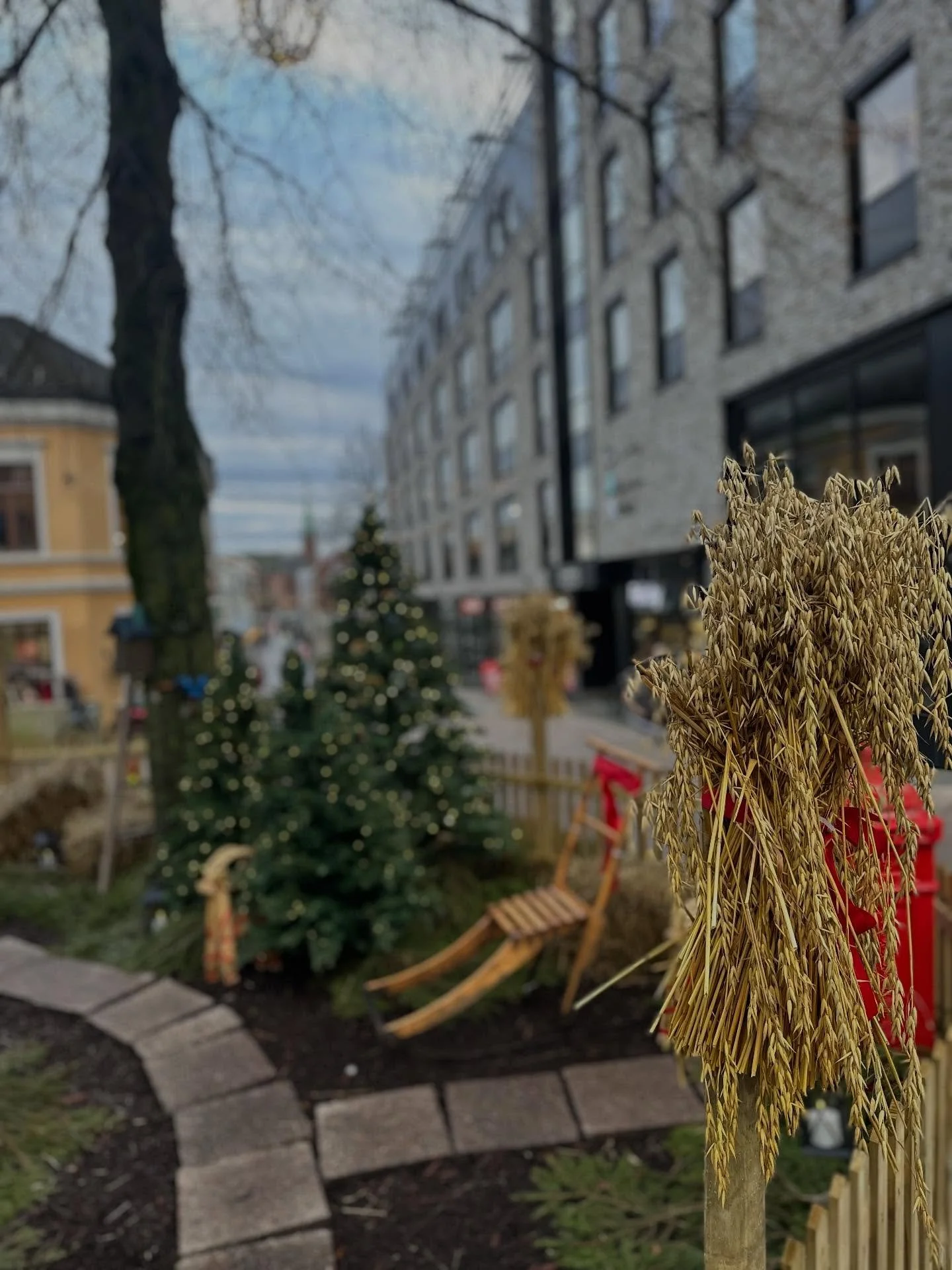 Velkommen til en julepyntet g&aring;gate 🎄 
Vakre lys og flotte butikker med julevarer 🎁

___
#jul #godjul #merrychristmas #christmas #mossisentrum #mossby #visit&oslash;stfold #&oslash;stfold