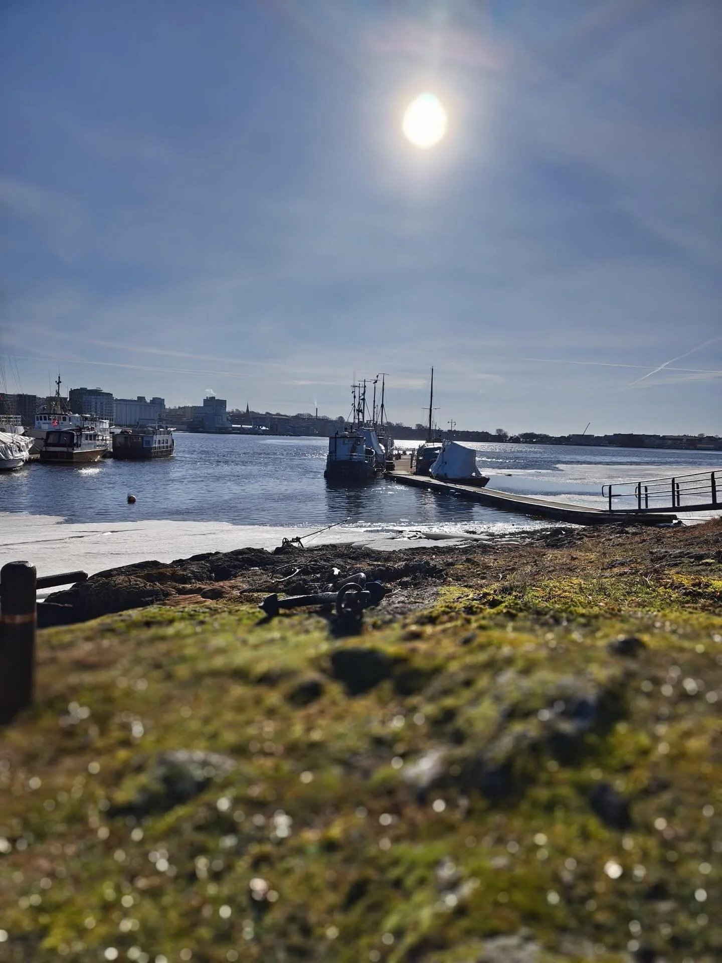 S&oslash;ndag er turdag! 

Hva med en tur lags &oslash;stsiden av Jel&oslash;y med utgangspunkt fra Rosnes? 

F&oslash;lg Mossesundet nordover og f&aring; en flott turopplevelse med utsikt til byen v&aring;r 💛

#mossavis #mossisentrum #elskermoss