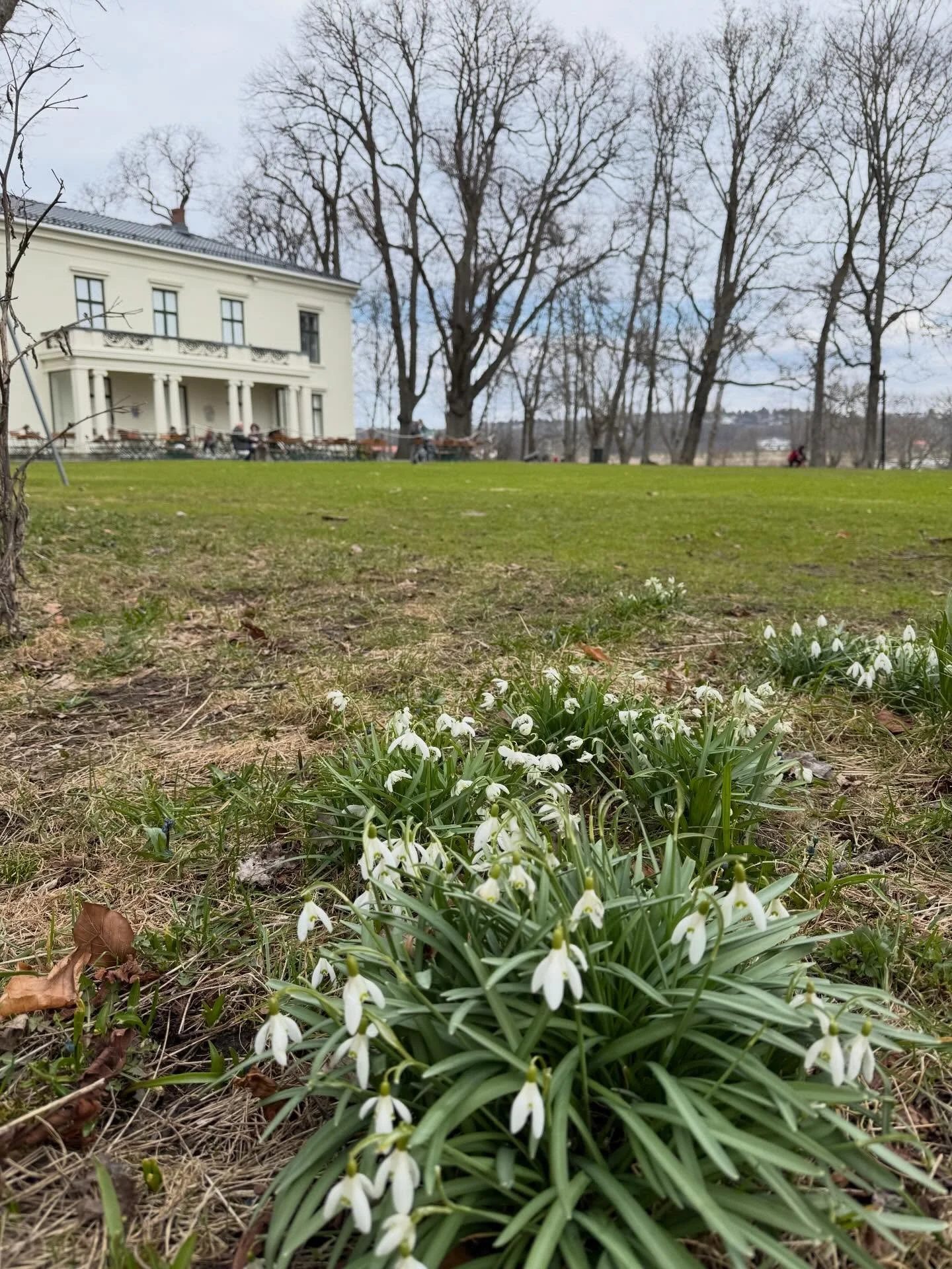 L&oslash;rdag og en perfekt dag for en tur i byen!

Nyt caf&eacute;livet, ta en runde i butikkene, opplev kulturtilbudet &ndash; og finn deg en plass i sola p&aring; en uteservering. 

Nyt l&oslash;rdag og l&oslash;rdagstemning i byen v&aring;r. 🌿✨
