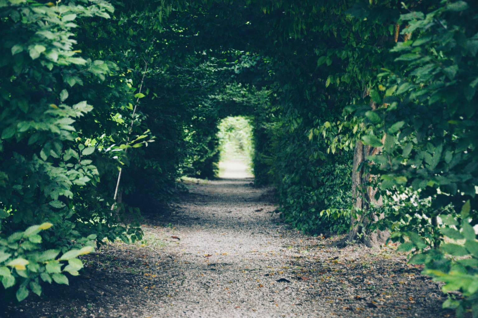 Erfahrungen mit 5D-Atemstabilisierung und inneren Bildern