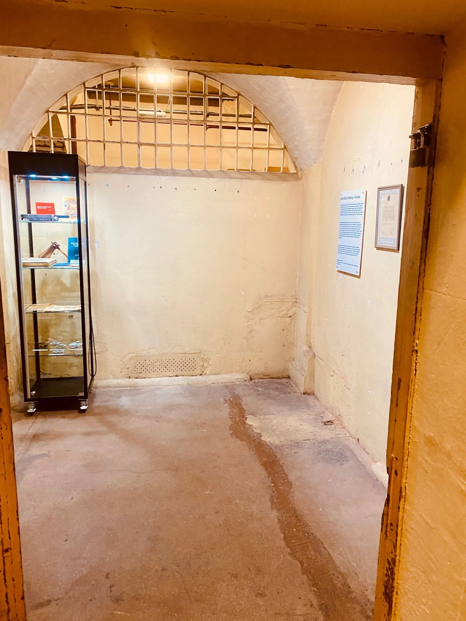 Inside the cell about early policing in Sussex