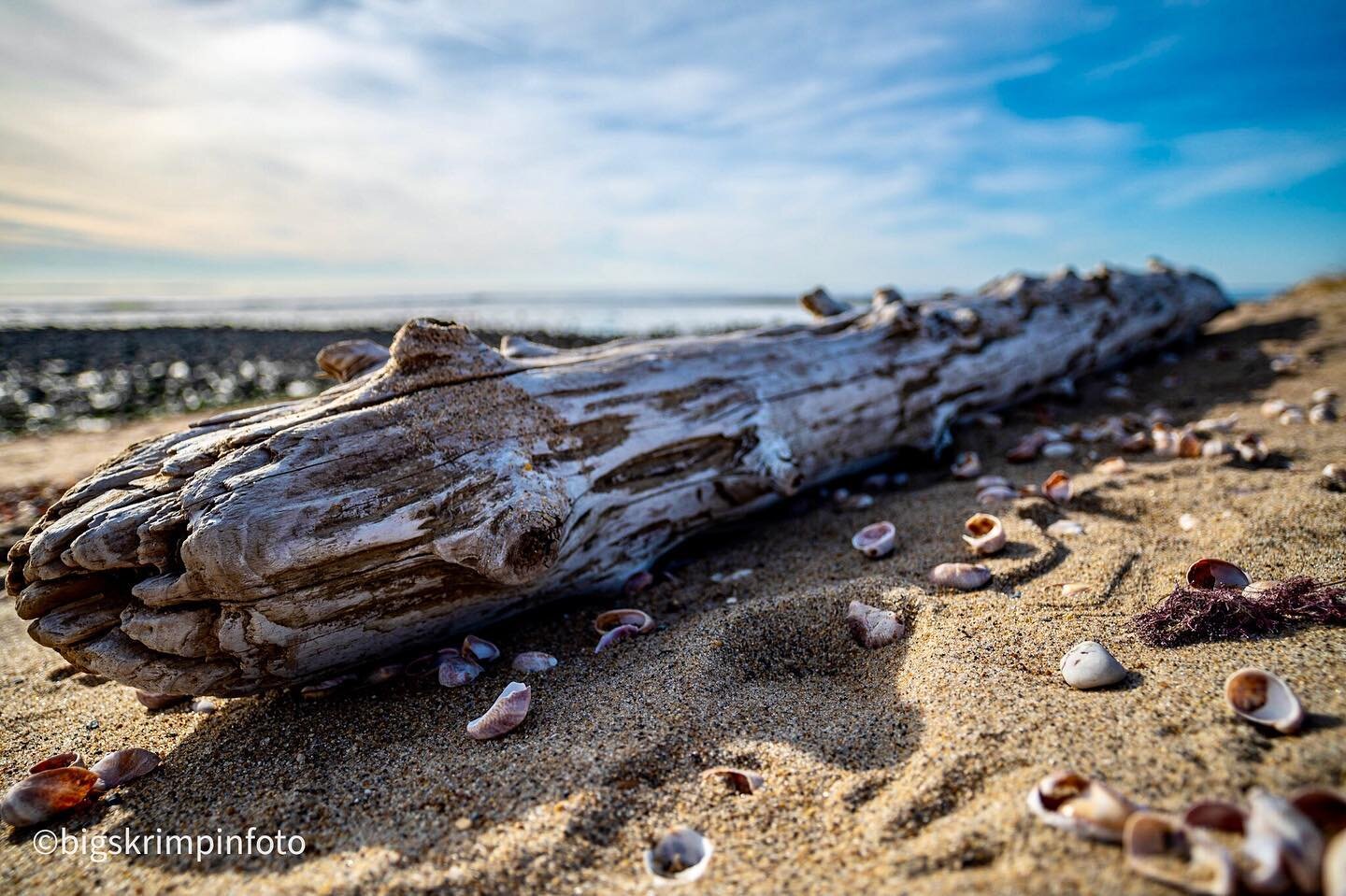 I&rsquo;m quite sure after last nite&rsquo;s storm, this weathered driftwood log has been swept off on another journey to who knows where, and the coastline changed yet again&hellip; one thing for sure, Mama N she don&rsquo;t fk around.  MTK, RI&hell