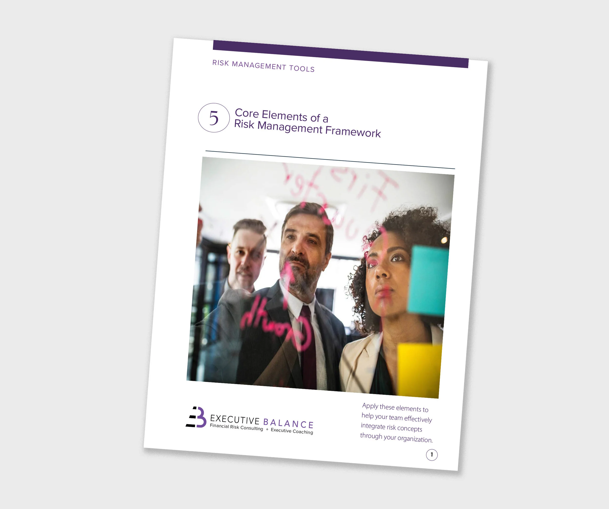 Executive Balance Free resource | 5 Elements of a Risk Management Framework