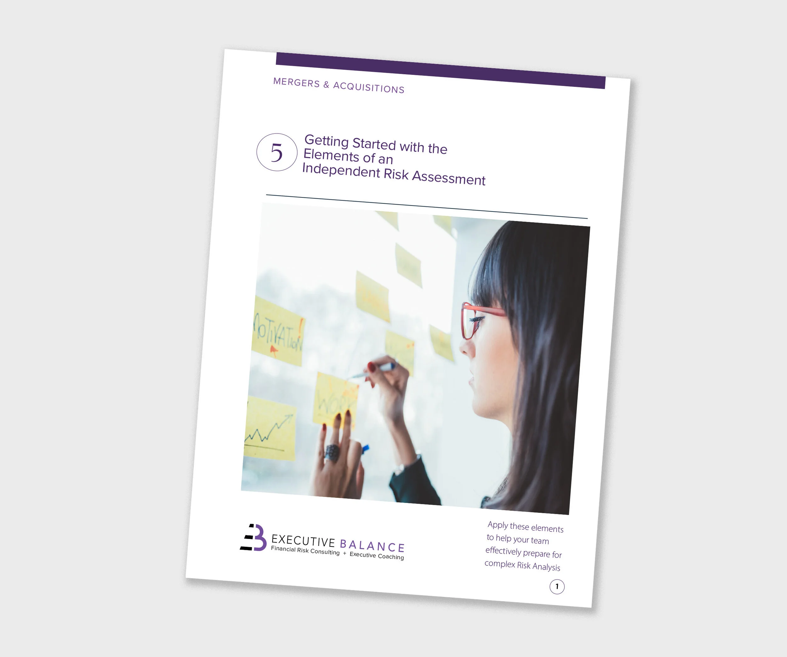 Executive Balance Free resource | 5 Elements for Getting Started with an Independent Risk Assessment