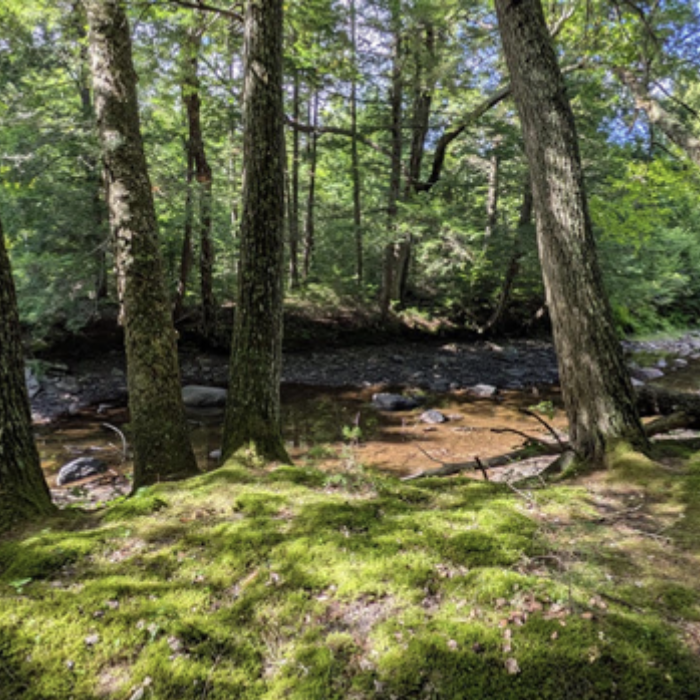 Bolen Hill Trails Opening with Ribbon Cutting and Hike