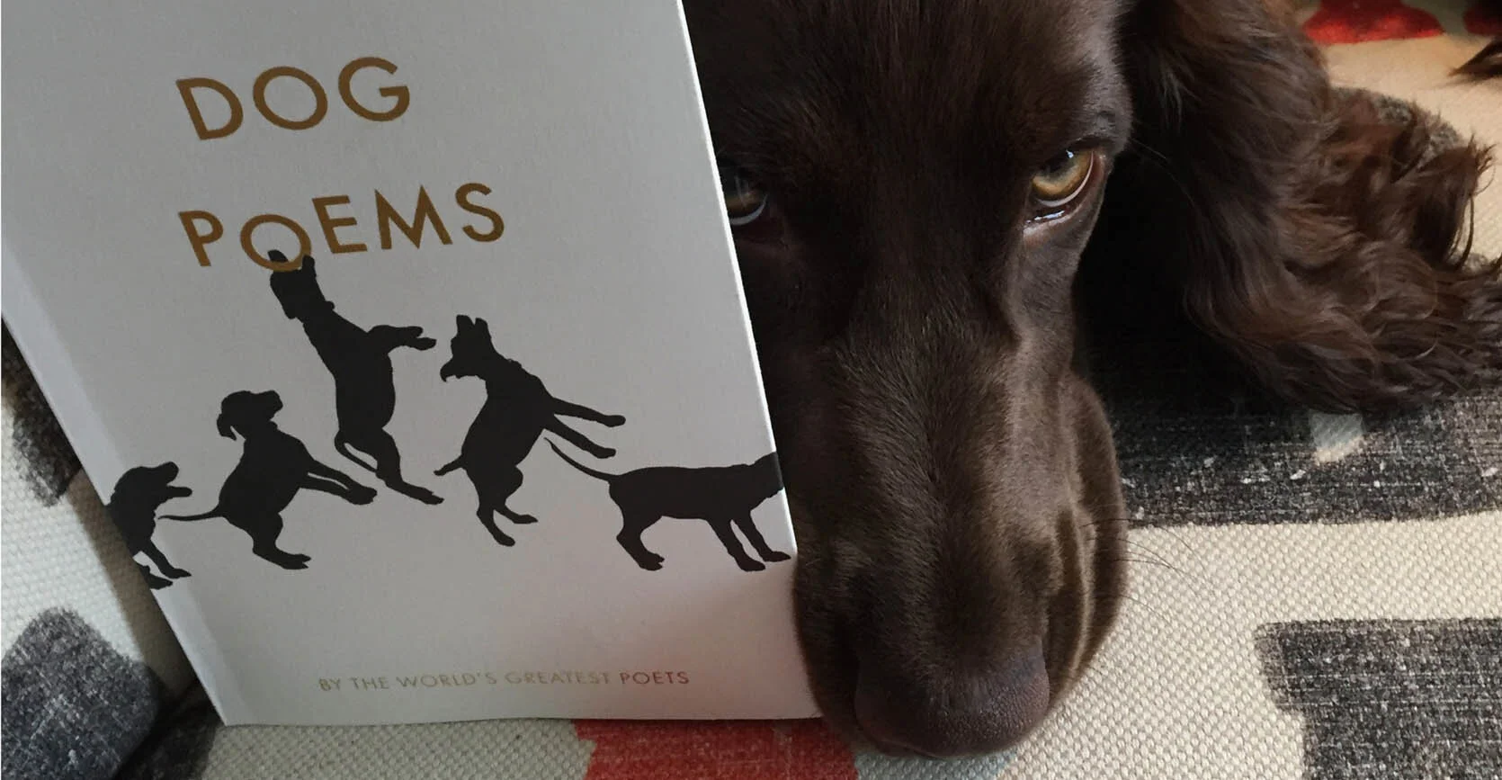 Dog Poems