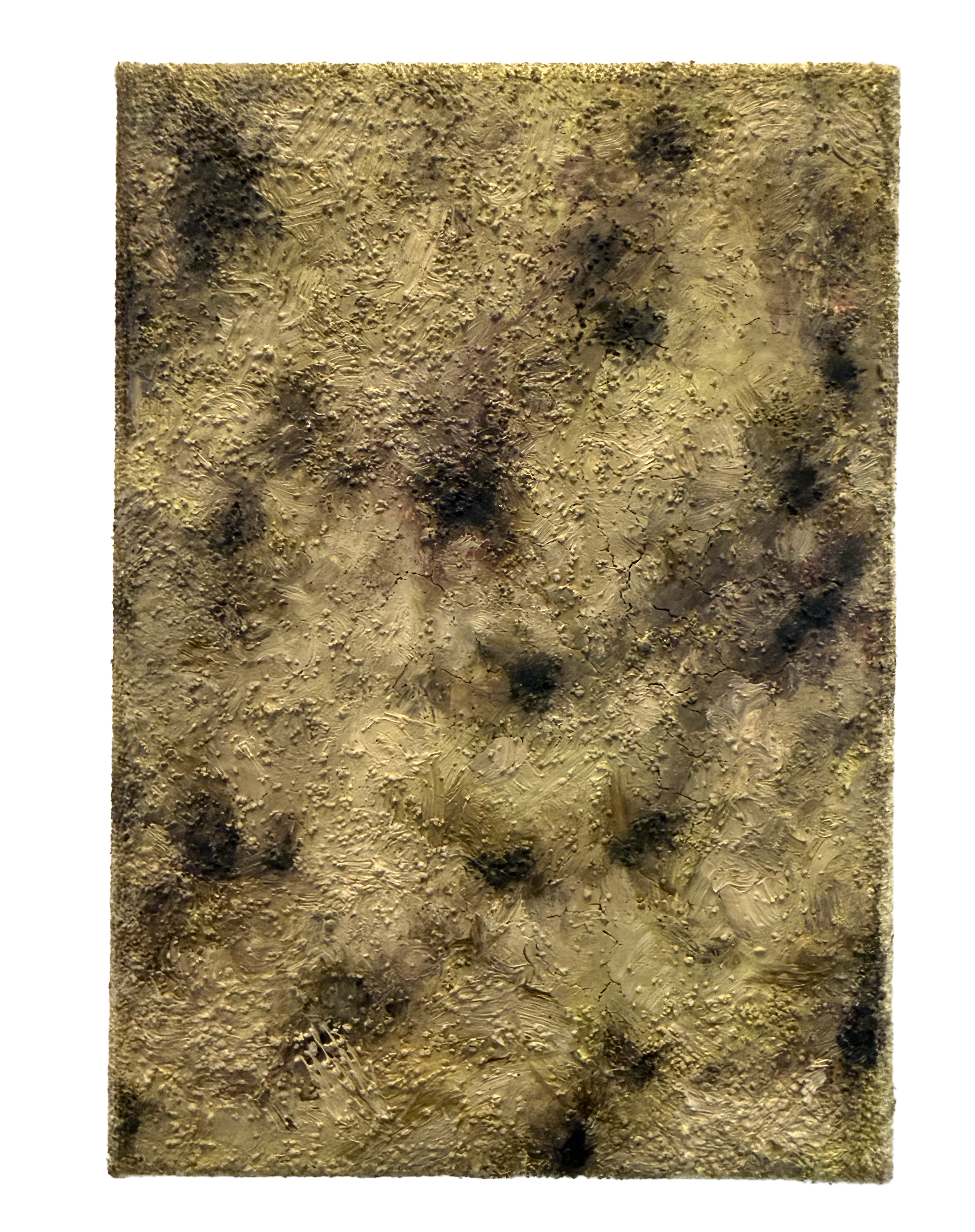 IMG_0889.png