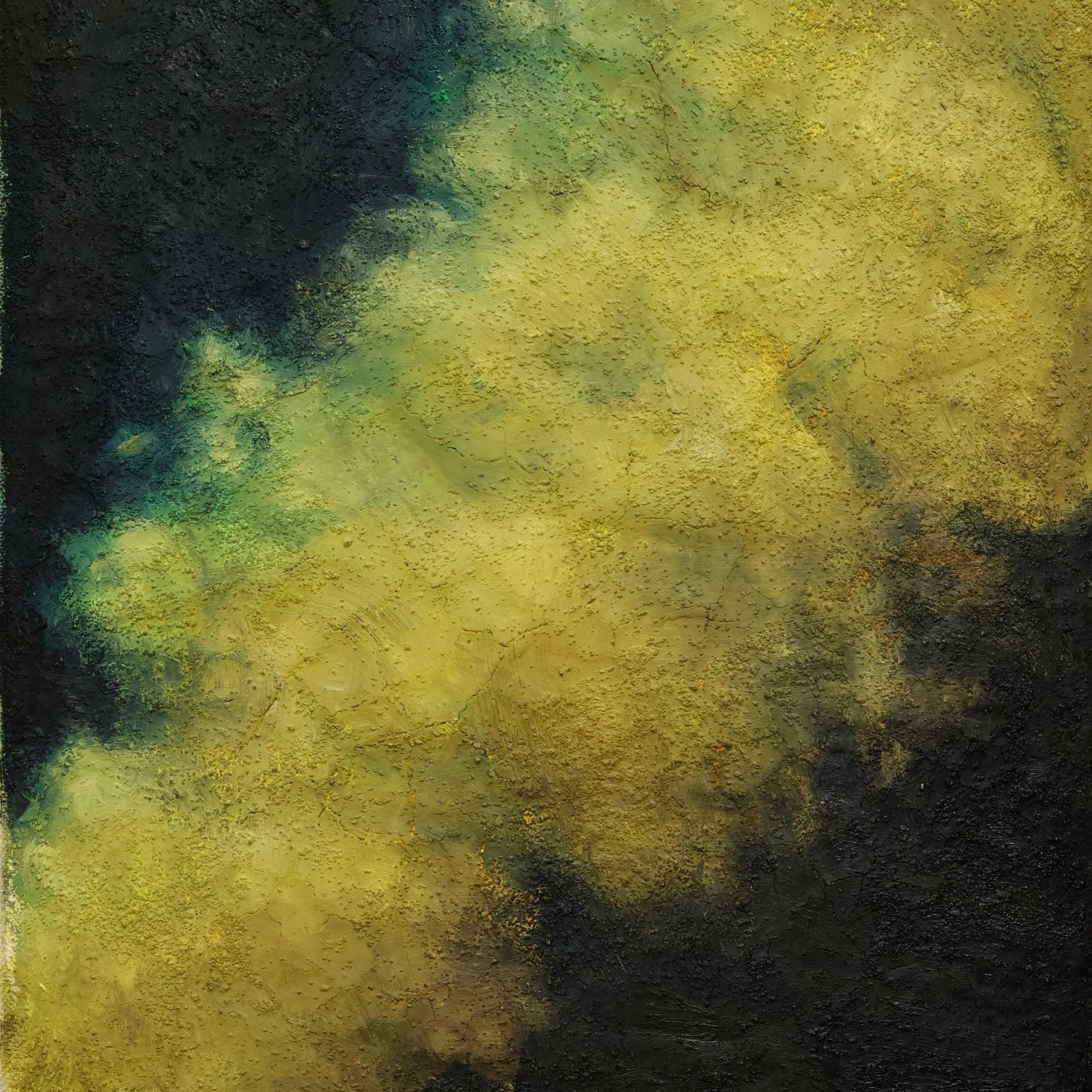  
A Garden Between Worlds  Juan Bocca &nbsp; 