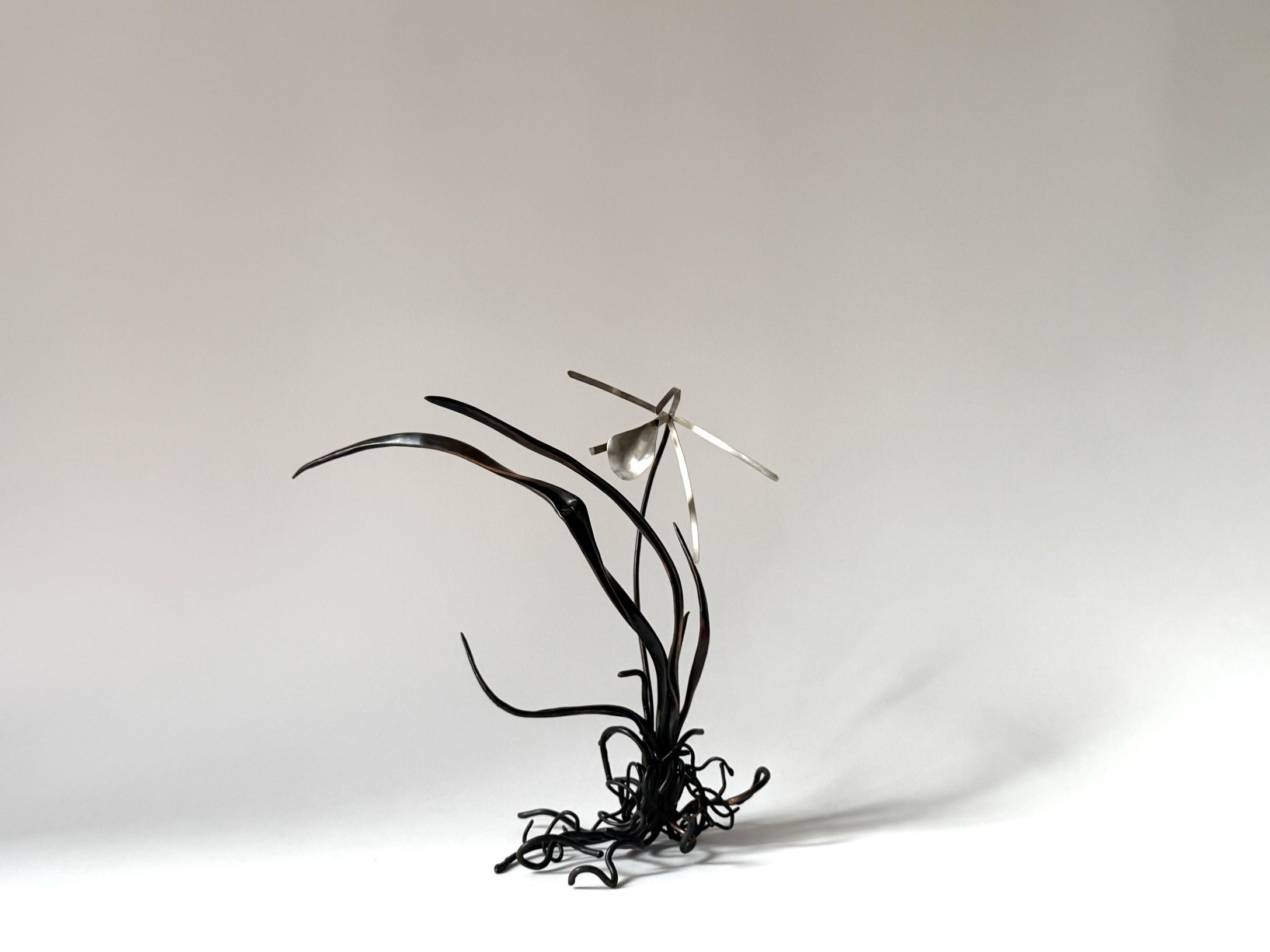 orchid-2.jpg