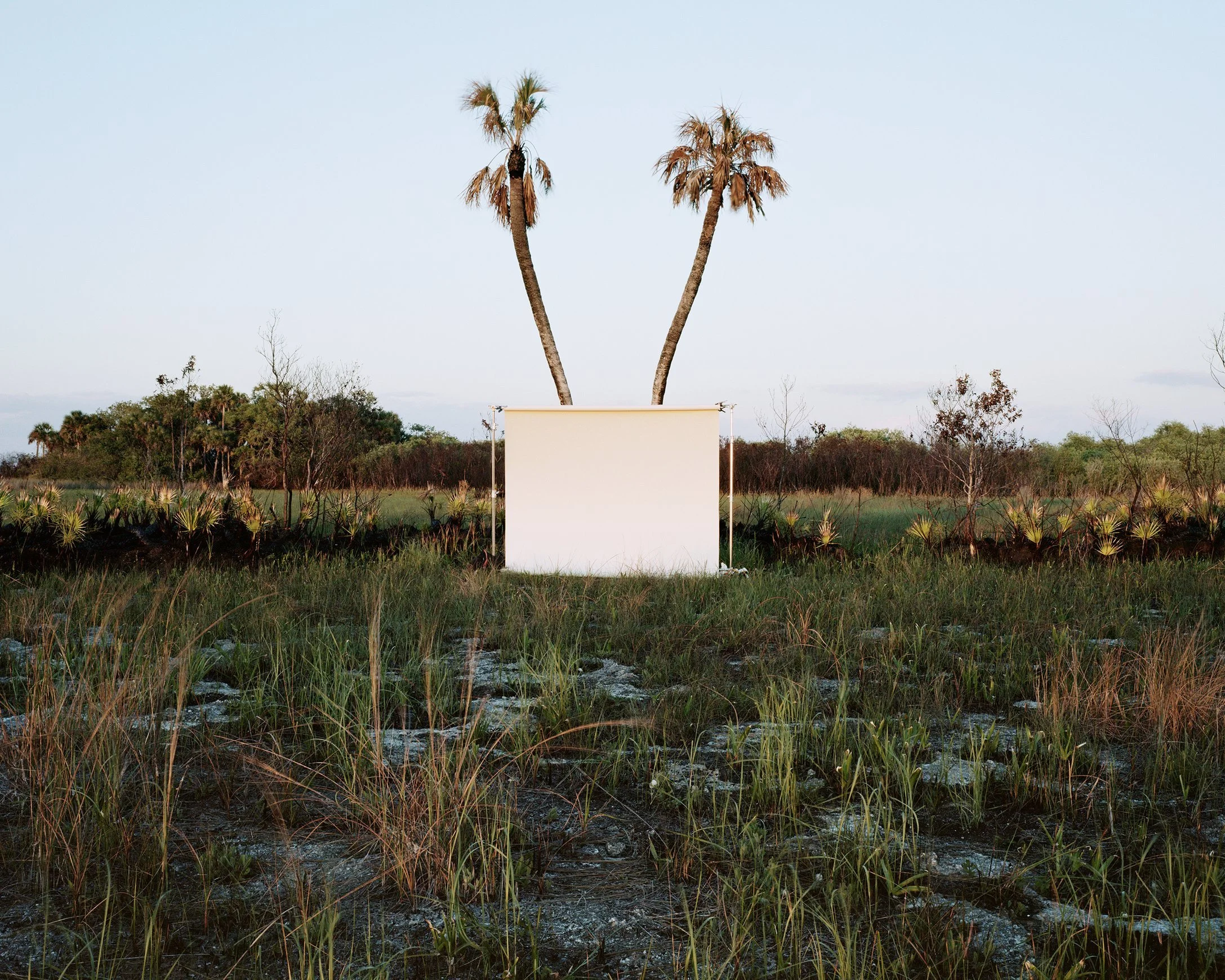 Ian Patrick O'Connor "No. 40 - 4 Editions + 1 AP"