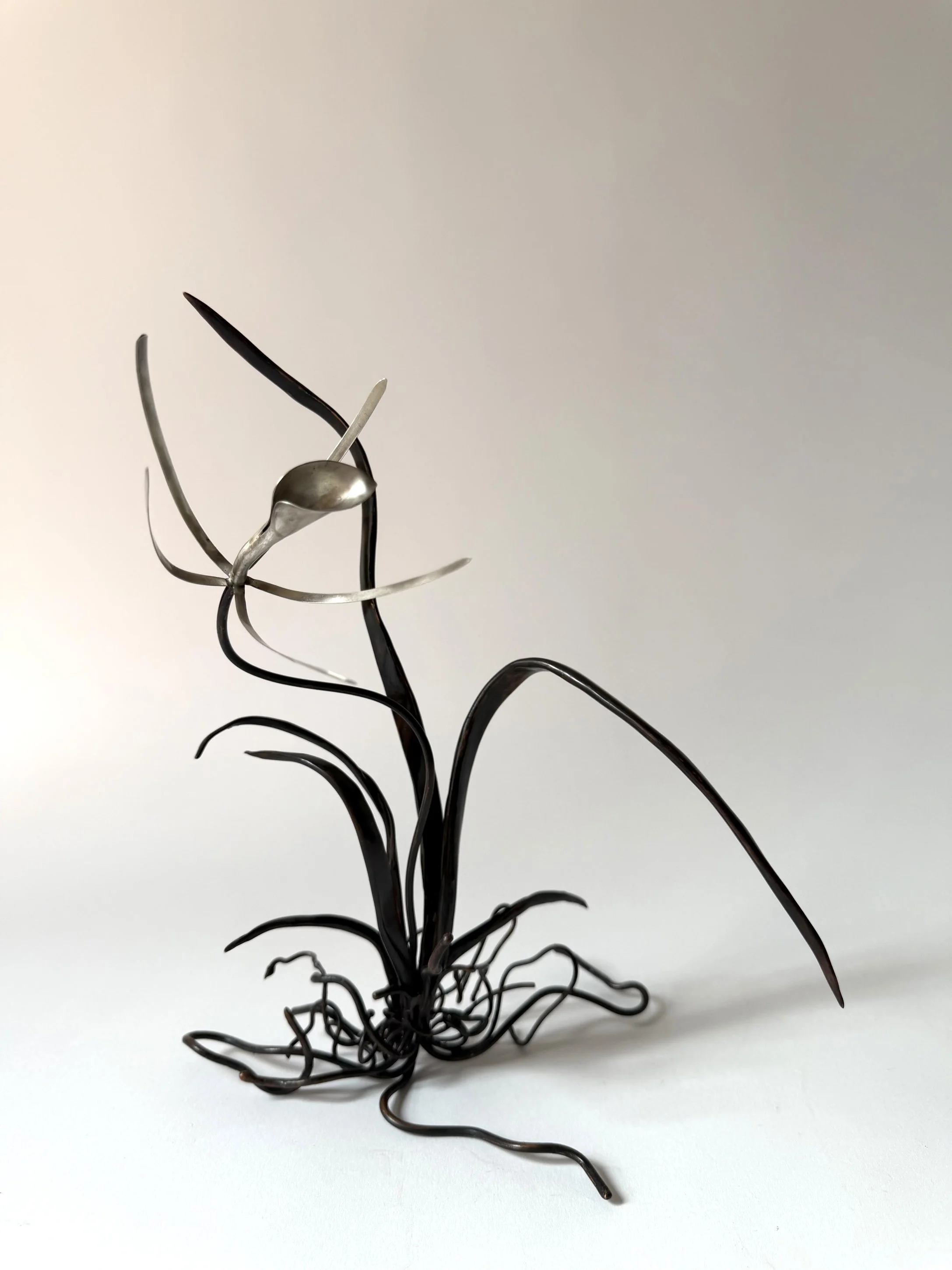 orchid-3.jpg