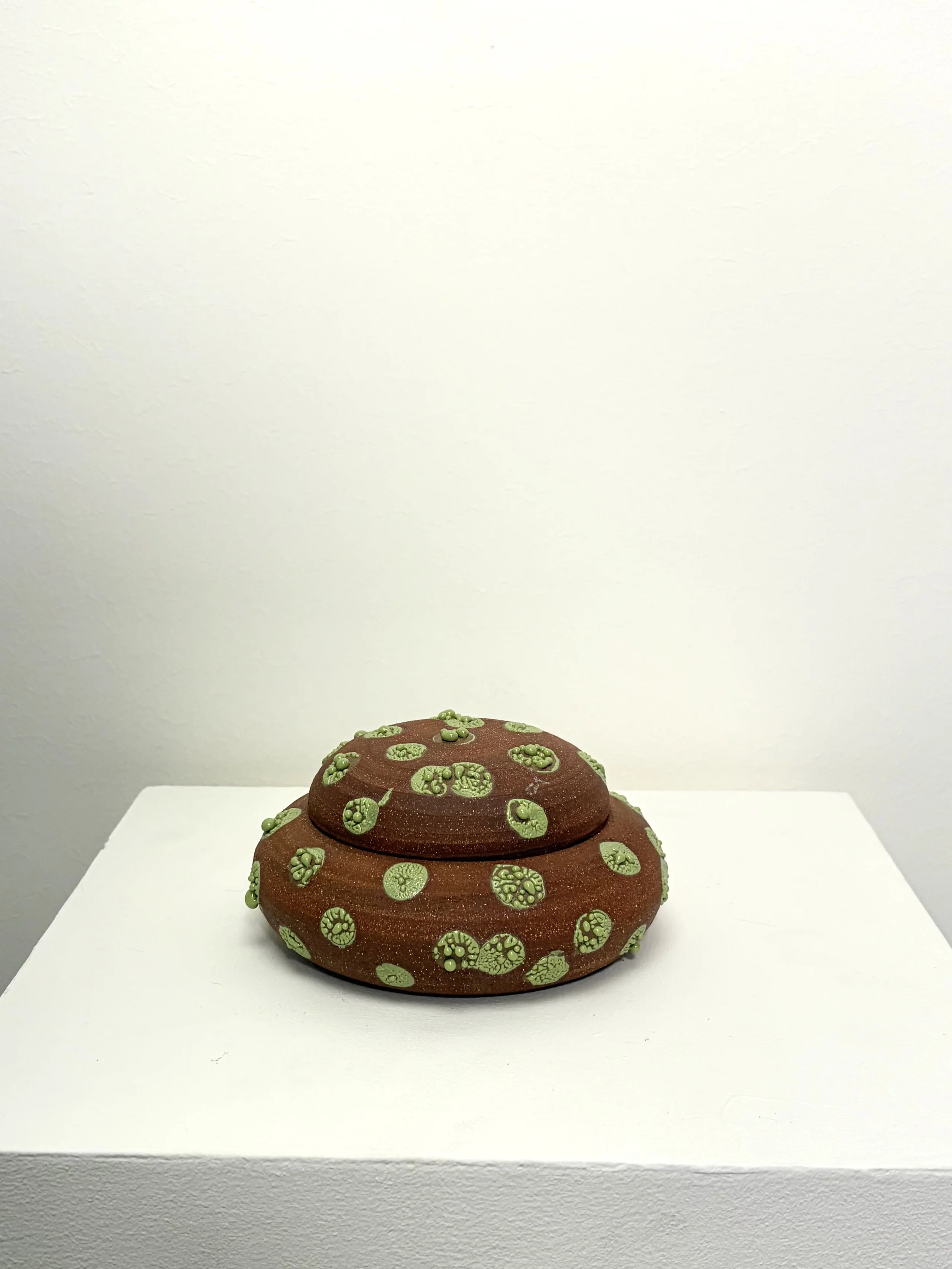 IMG-6230.jpeg