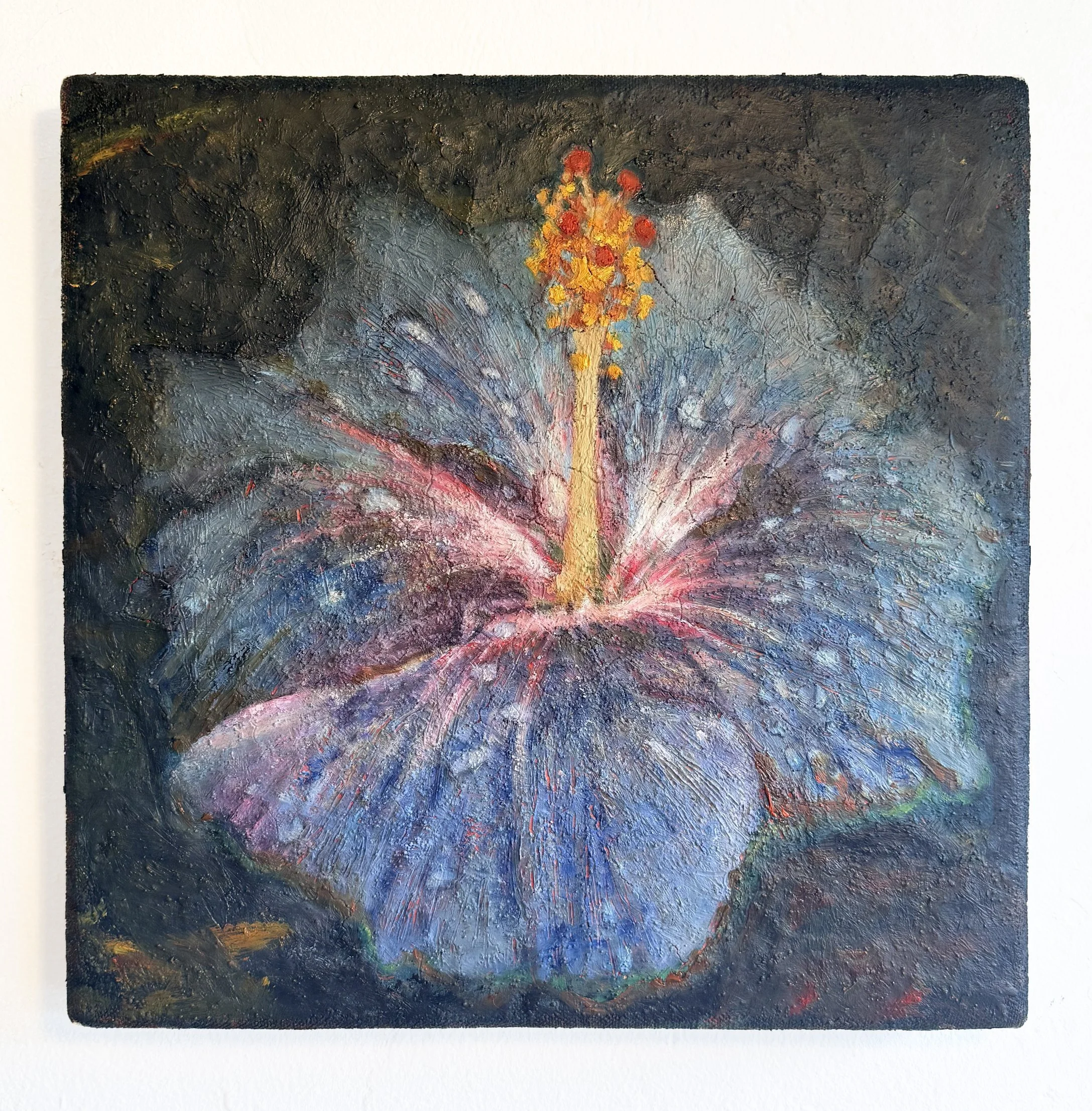 Juan Bocca "The Wet Hibiscus"