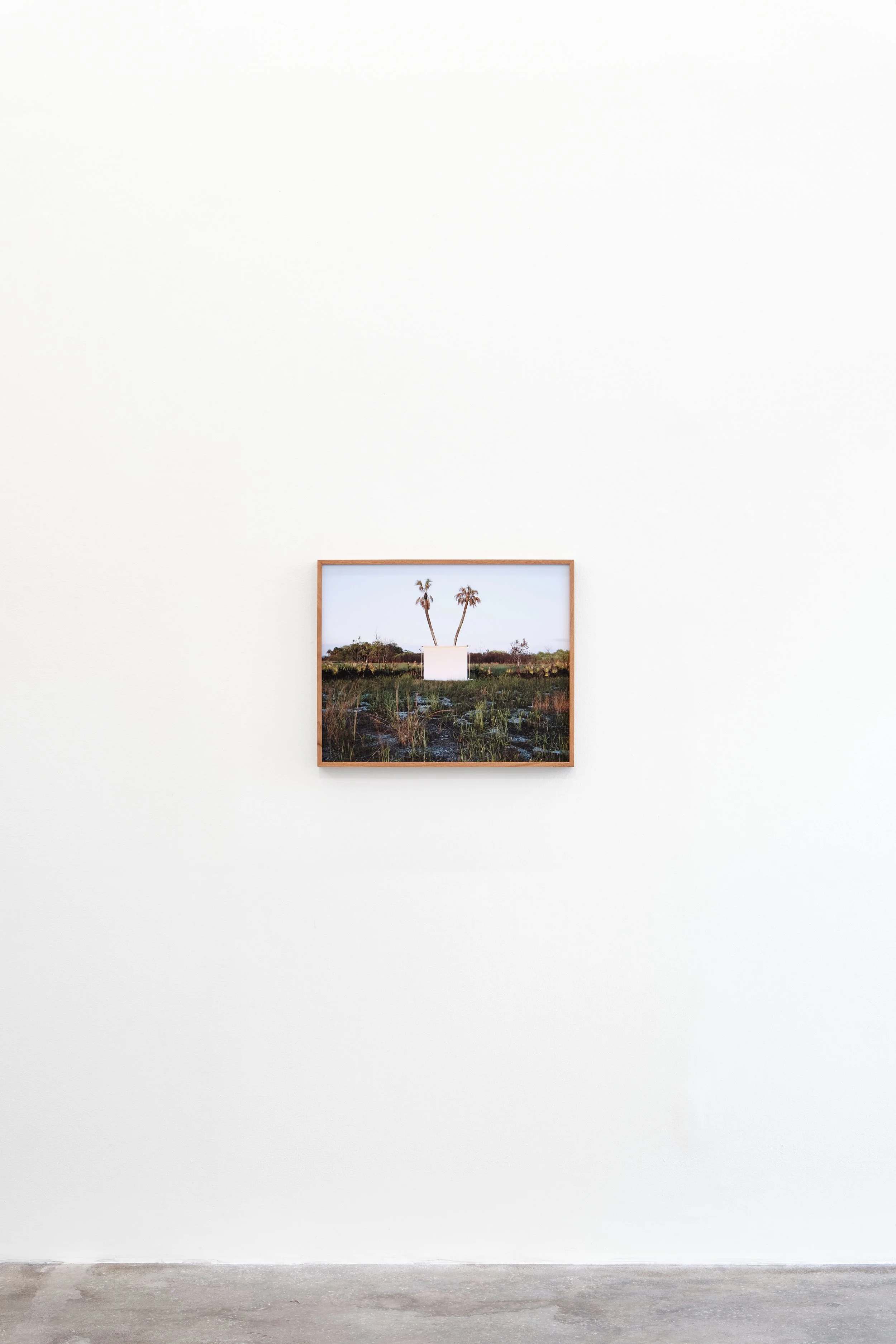 ian-patrick-oconnor-no-wind-kdr-gallery-rodrigo-gaya-villar-2026-RGV6865.jpg