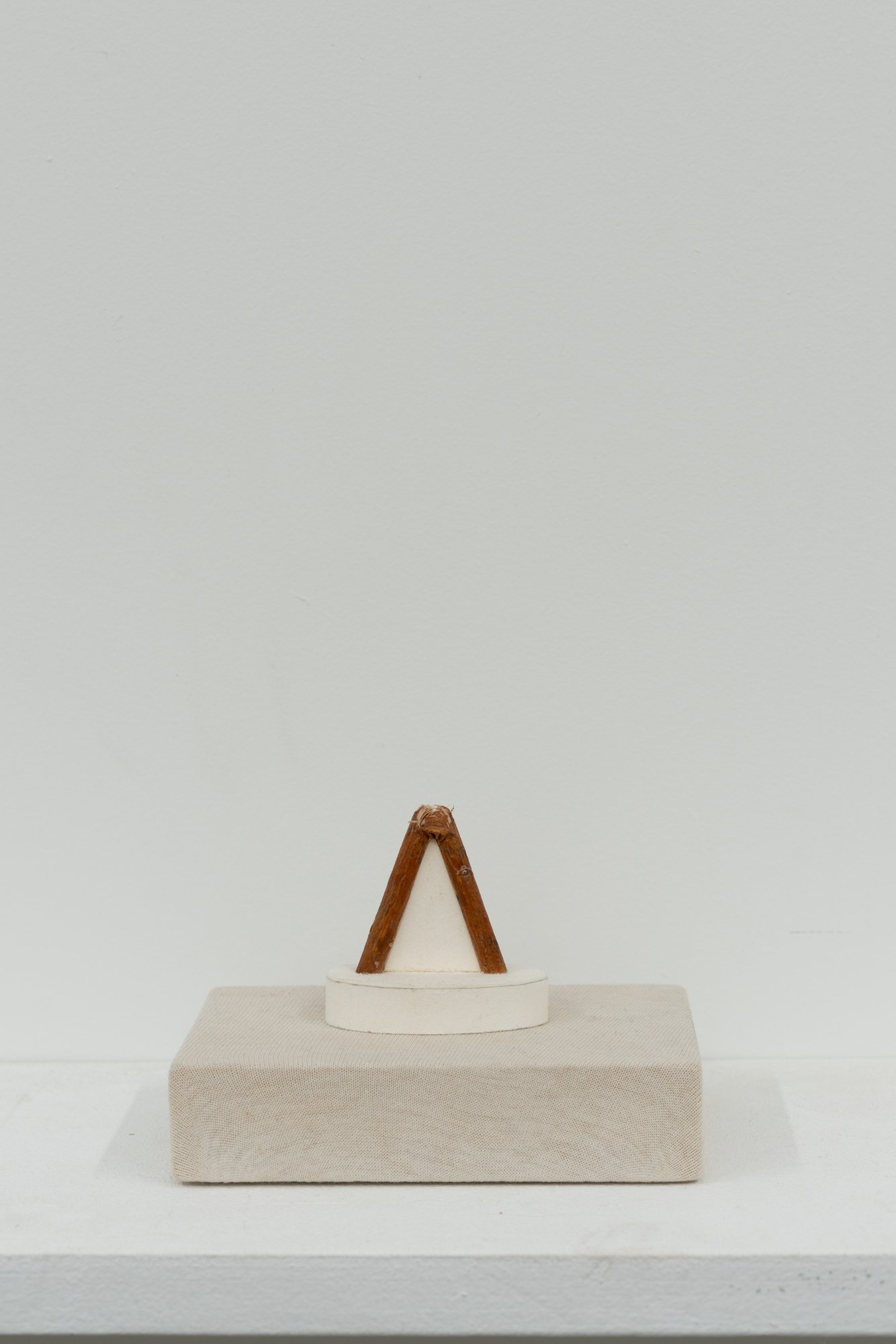 Eric Oglander     "Split Mulberry Filled With Paper"