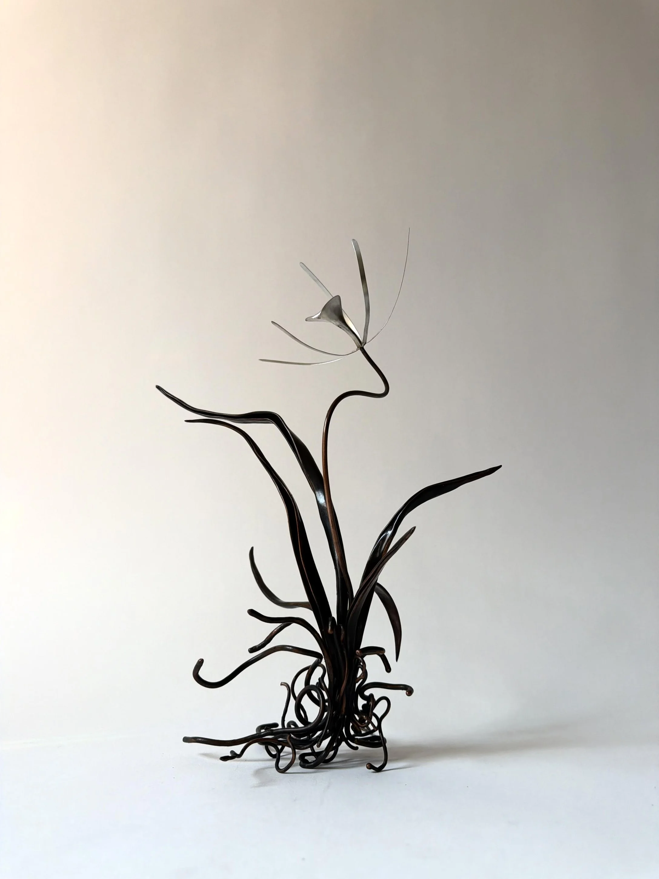 orchid-1.jpg