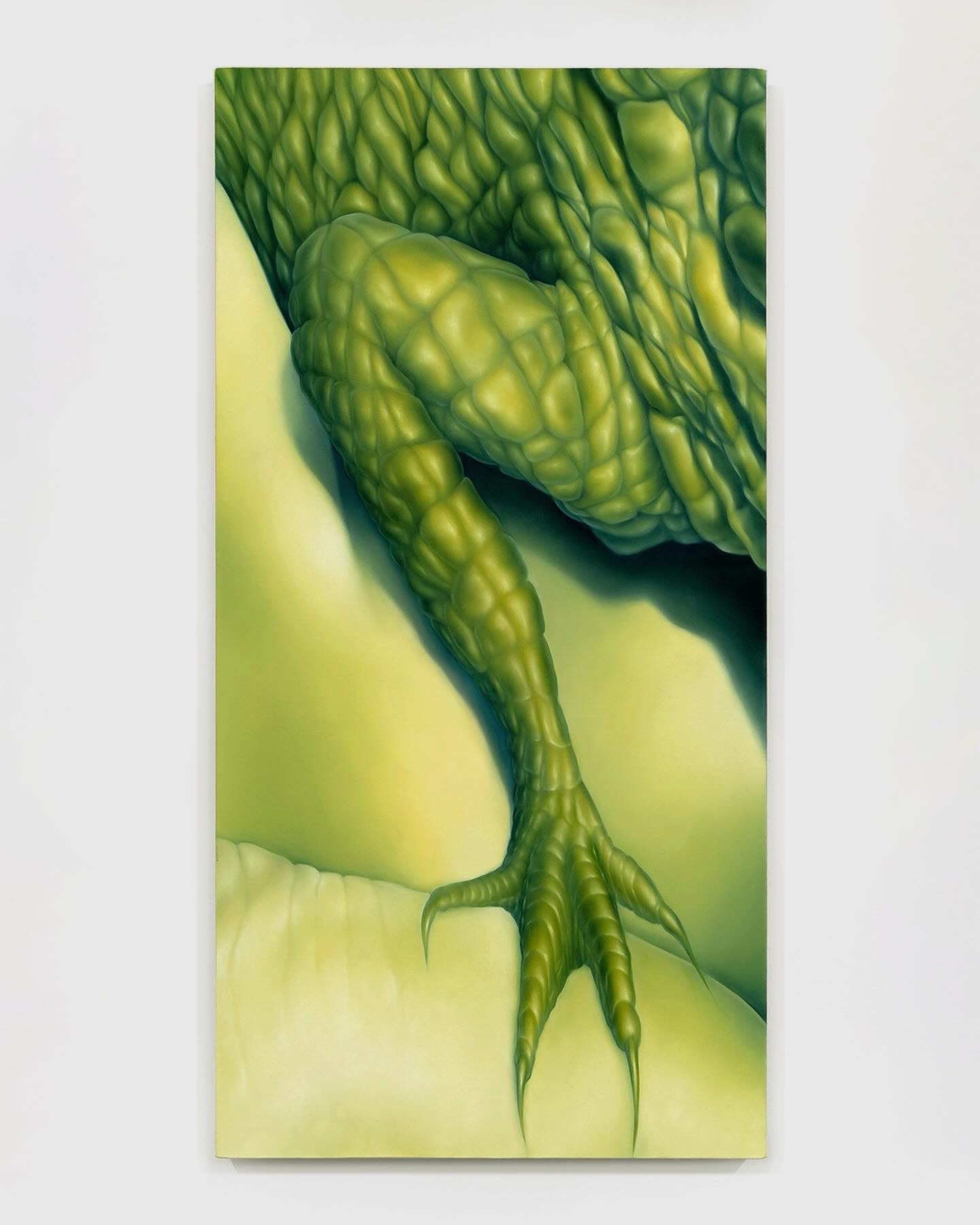 Alejandra Moros "Tiger, Valley, Shark, Tail"