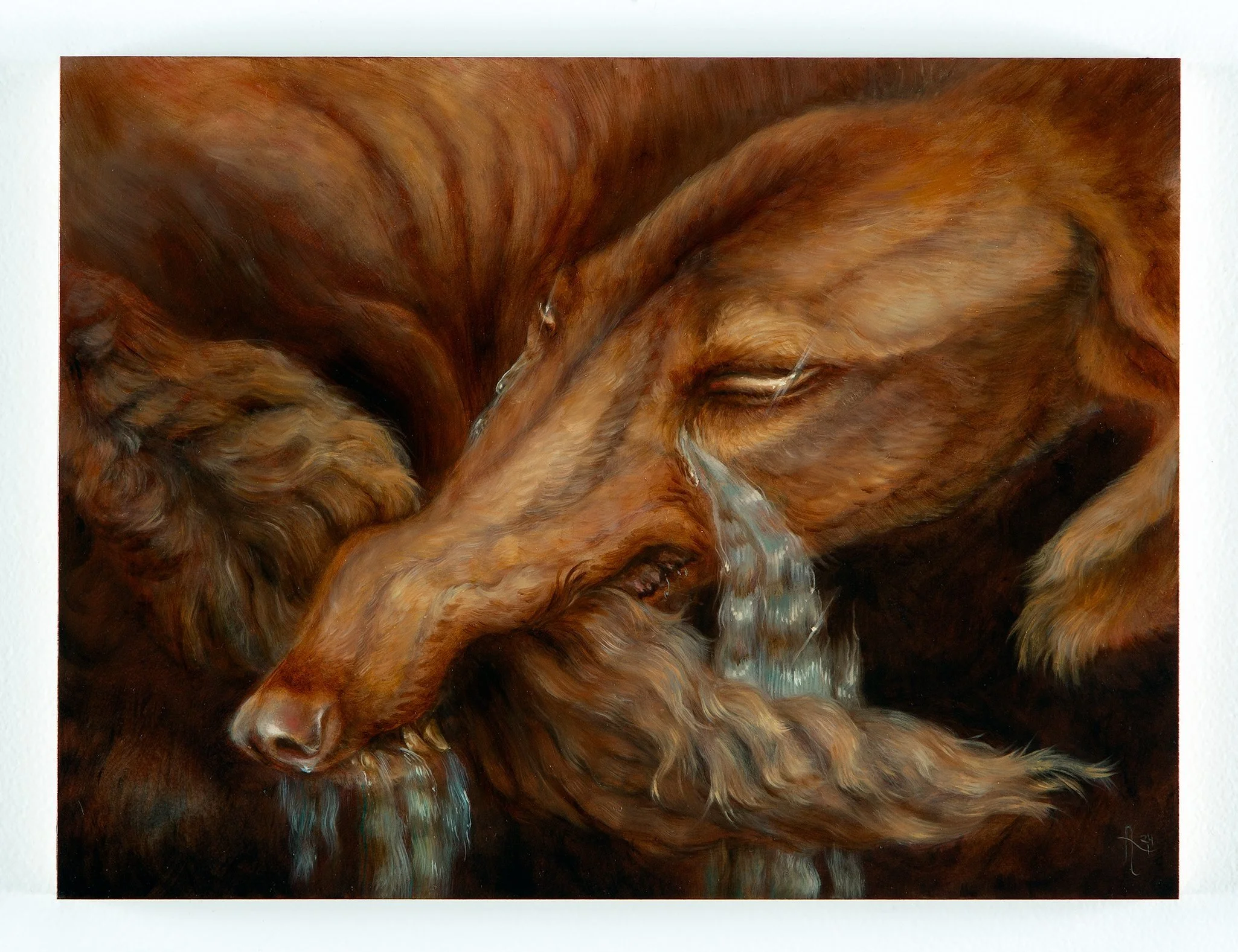 Alexis-Trice-The-Old-Dog.jpg