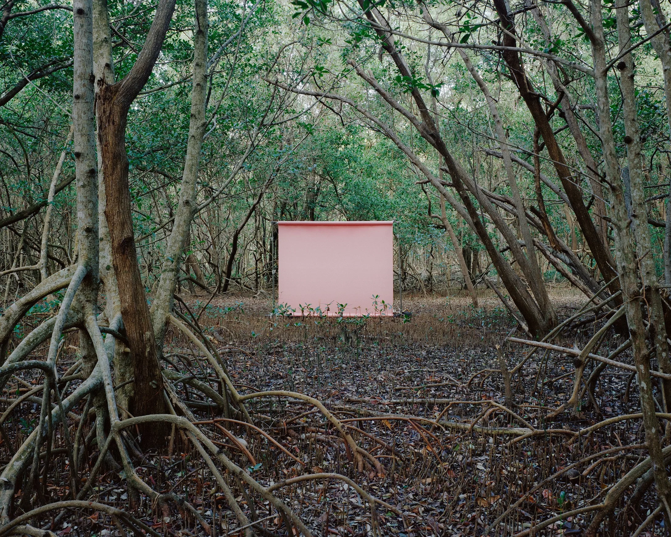 Ian Patrick O'Connor "No. 37 - 4 Editions + 1 AP"