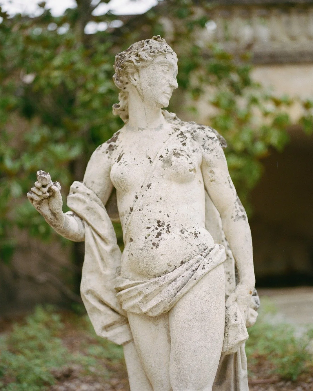 A GARDEN OF CHARACTER

The gardens of @domainedelacavalerie  unfold like a living gallery, rows of sculptural trees, timeless stone, and divine figures that give soul and mystery to this singular Proven&ccedil;al home.

#LaCavalerie #ProvenceArtistry