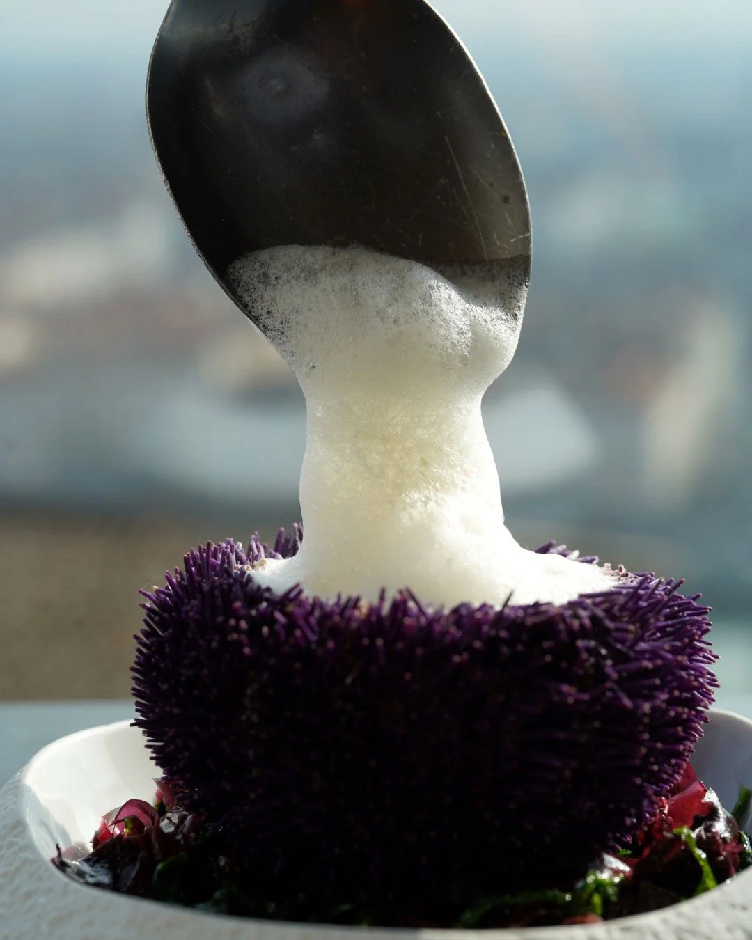 A CULINARY EXPERIENCE ABOVE LYON 

At @tetedoieantiquaille , Michelin-starred cuisine meets the panoramic beauty of Lyon.

Just steps from @villa_maia_lyon , Chef @chef_christian_tetedoie oie crafts dishes that combine creativity, precision, and seas