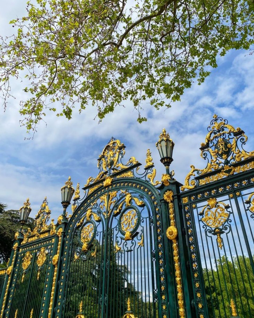 SPRING AT PARC DE LA T&Ecirc;TE D&rsquo;OR - LYON

Leafy paths, blooming rose gardens, the lively lake&hellip; and even the park&rsquo;s giraffes delighting visitors of all ages.

A must-visit spot to enjoy Lyon in the open air as the warmer days ret
