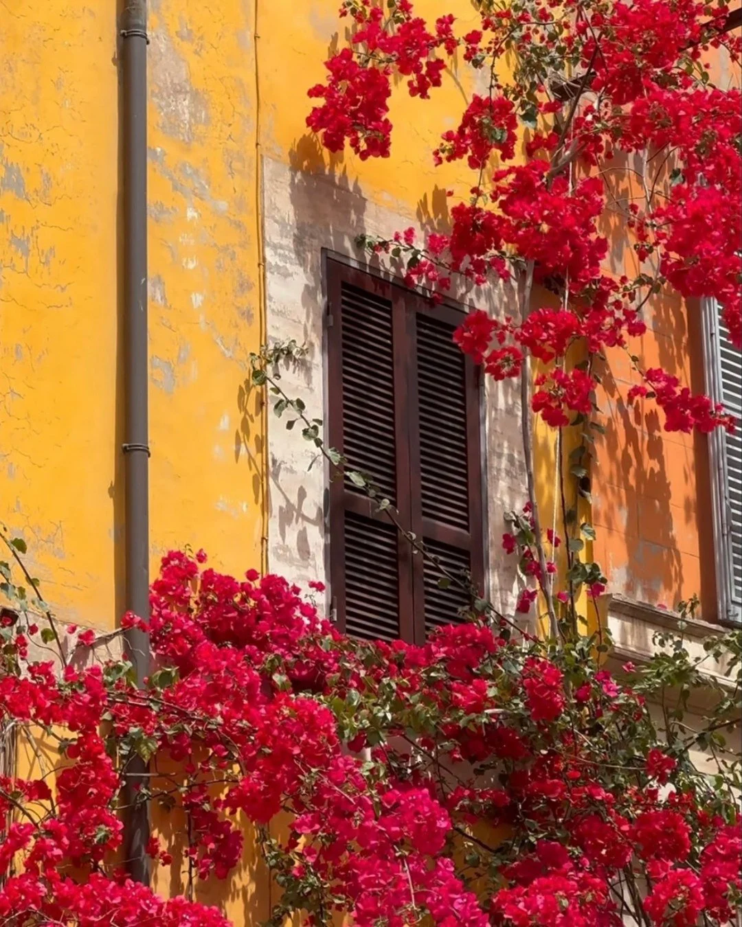 Spring in Rome 🌸

Longer days, softer light, and the city at its most vibrant. The perfect time to experience Rome and to stay at @casamontiroma , right in the heart of it all.

#CasaMonti #ArtistInResidence #SpringatRome #RomaAmor #Rome #CityBreakR
