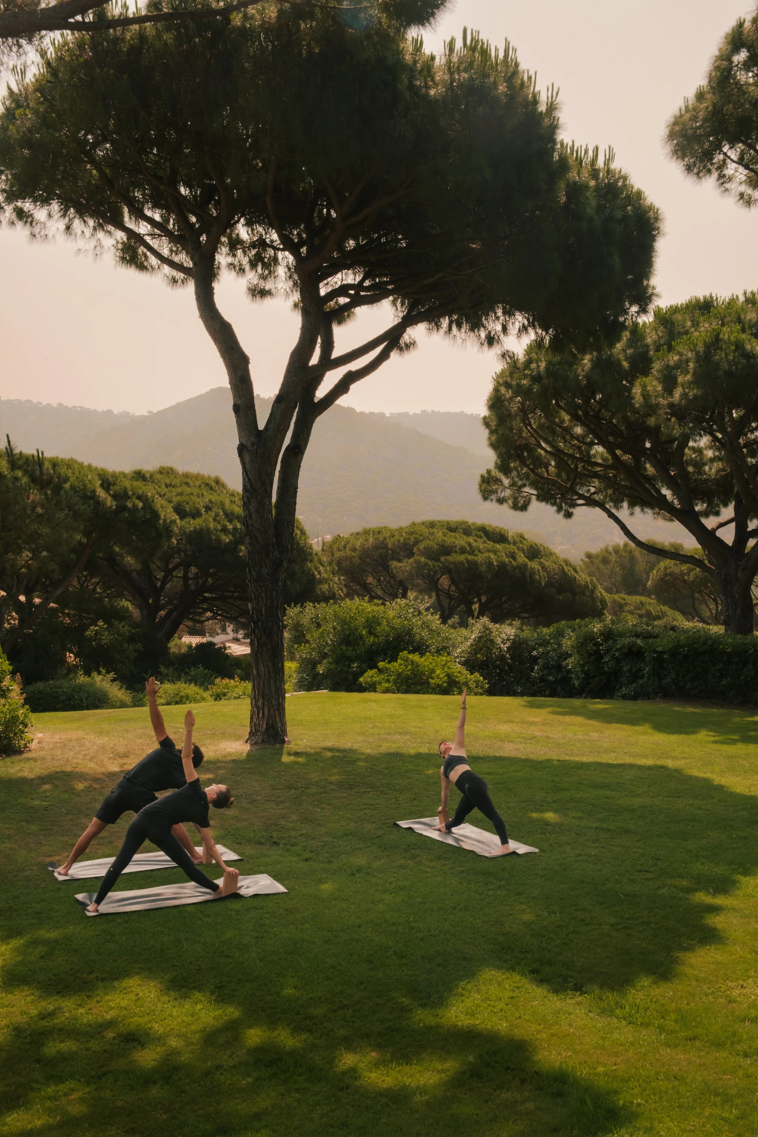 Coach session - Shape Club