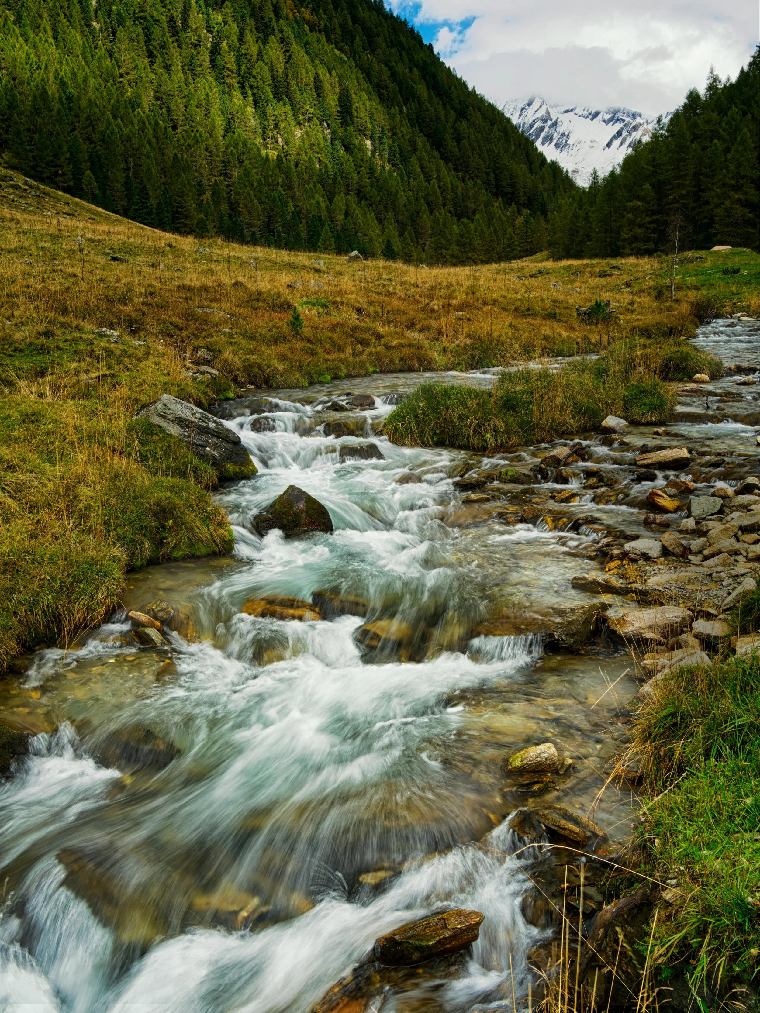 Lessons from a Mountain Stream: Learning to Read God’s Creation