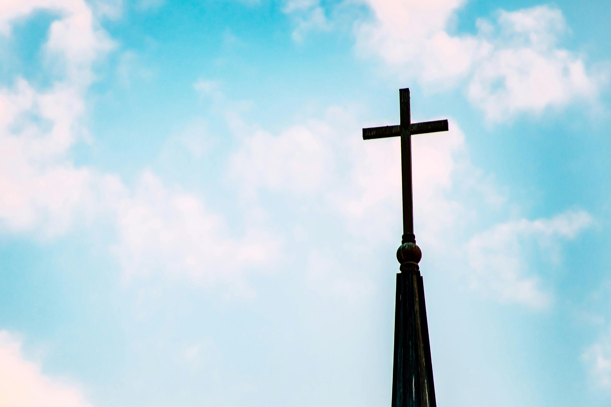Grafted by Grace: Finding Family in the Body of Christ