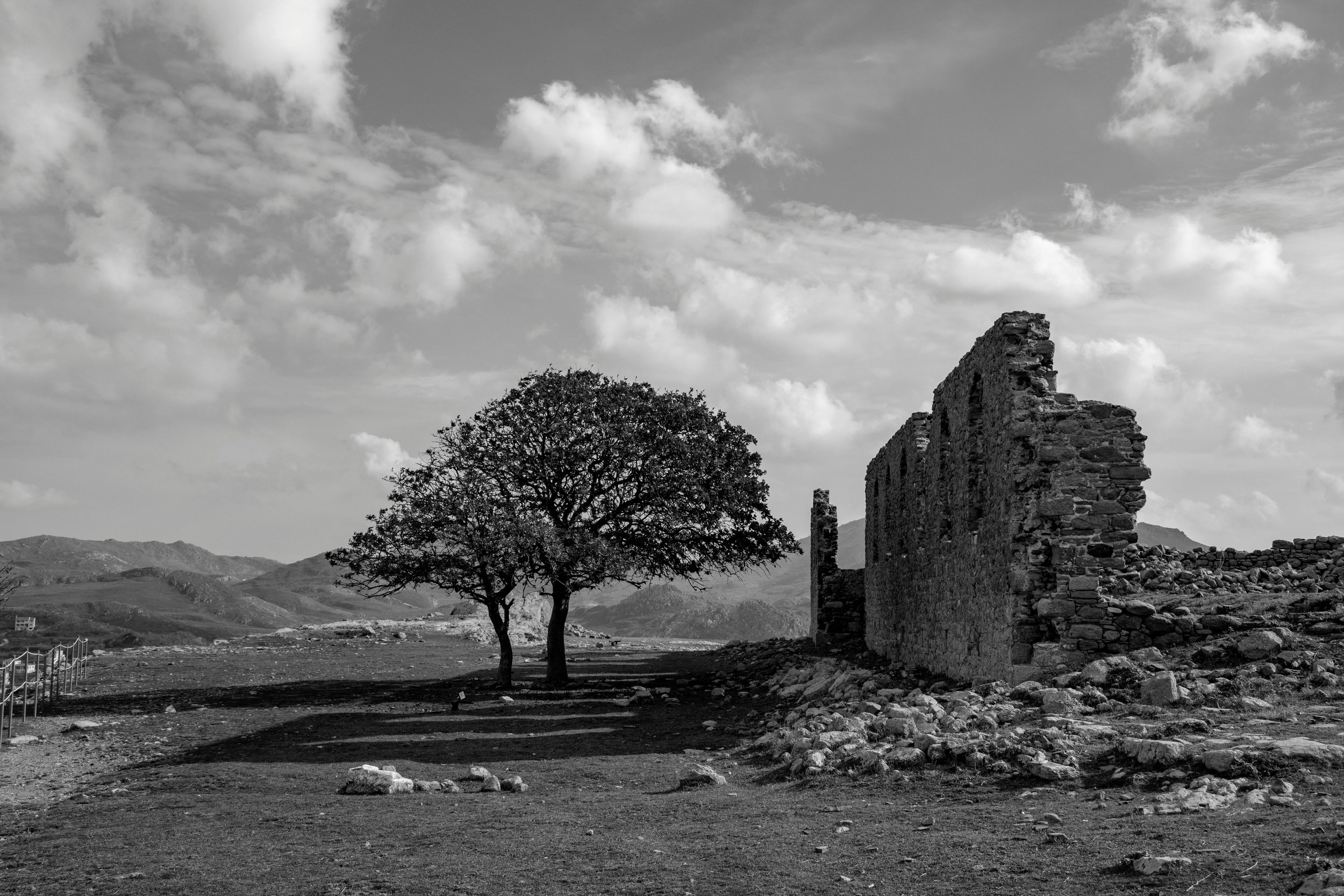 The Resurrection and the Unfulfilled Psalm