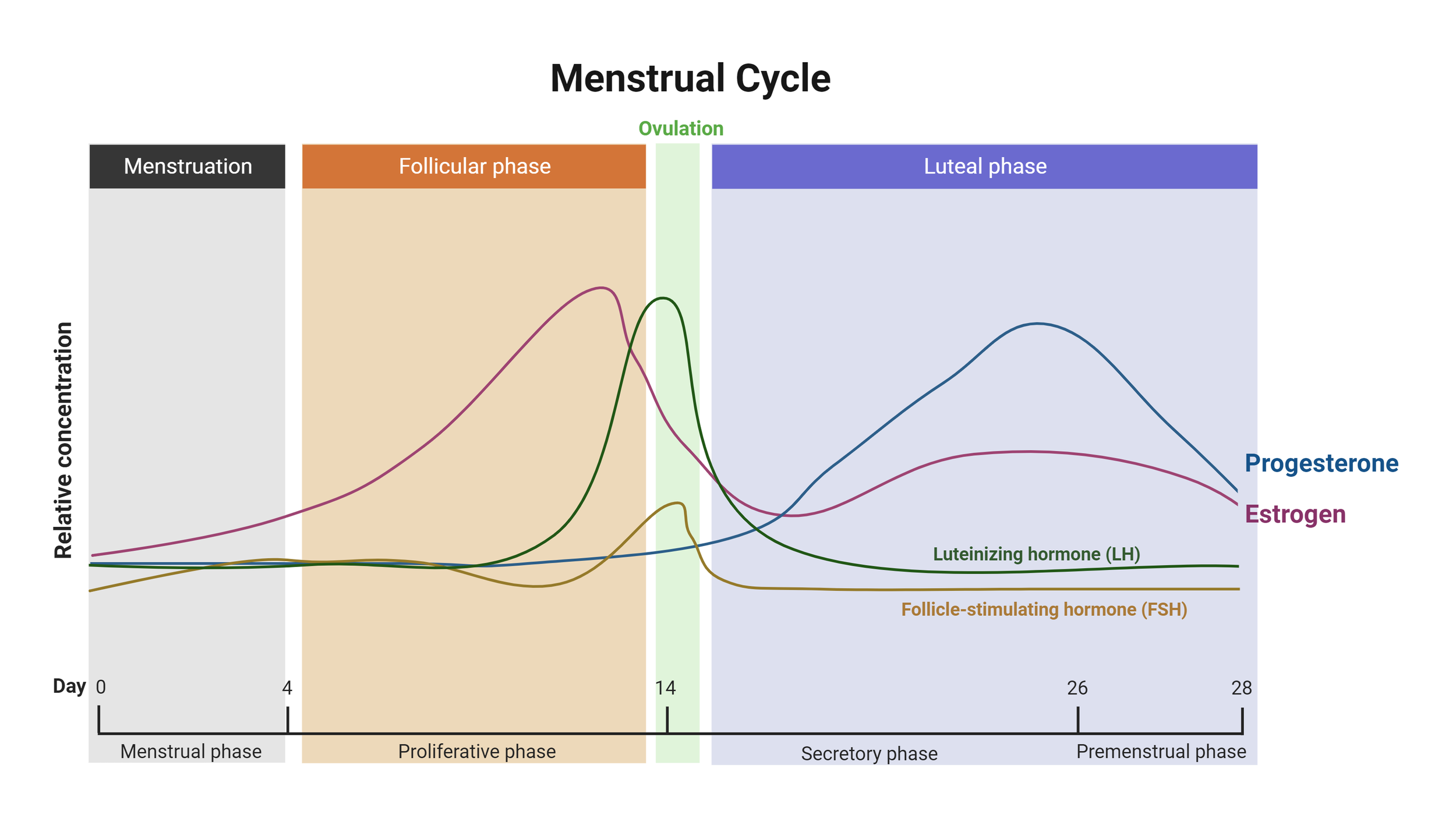 theblood Revolutionizing the Gender Data Gap