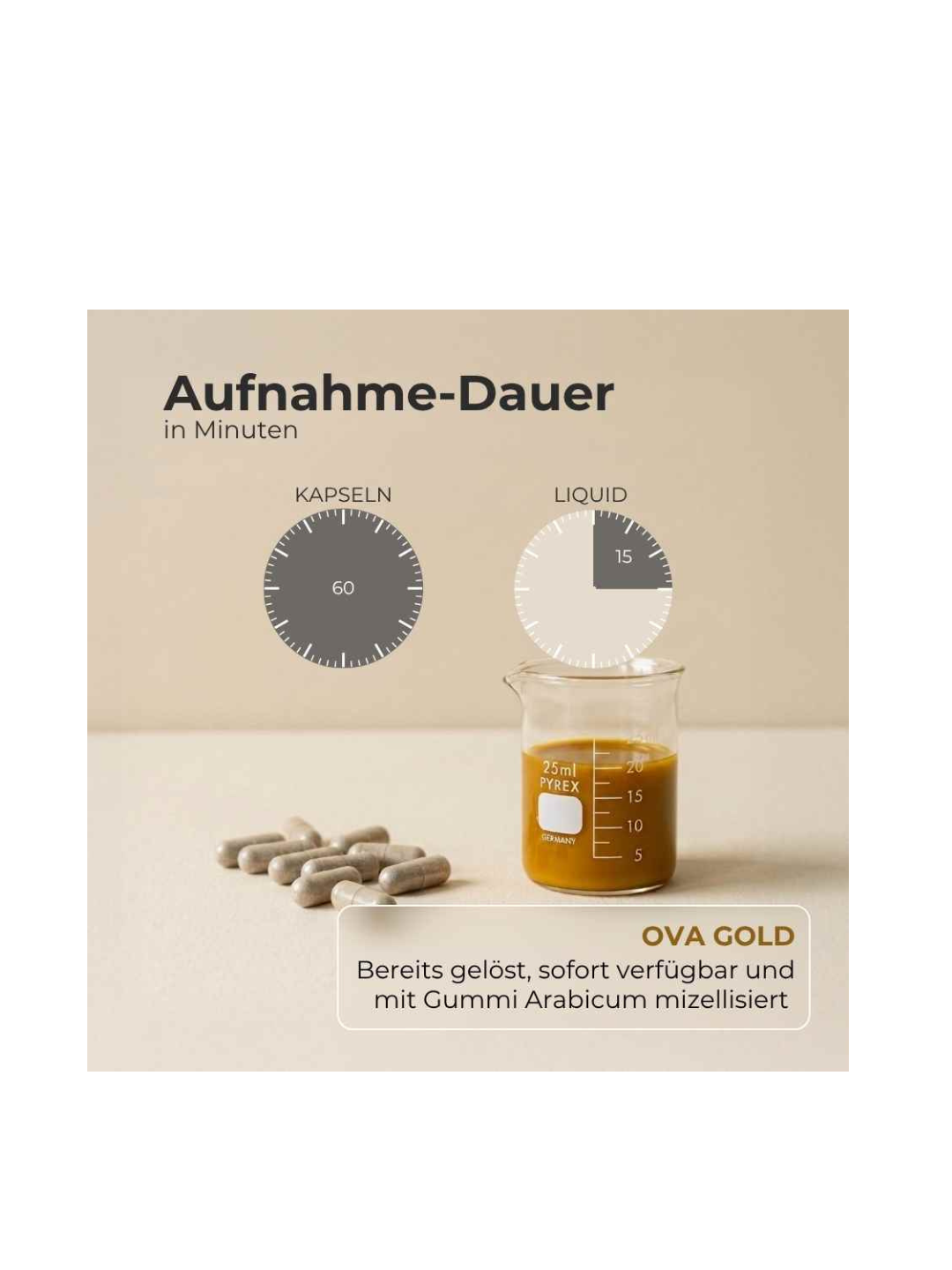 (German) (5).png
