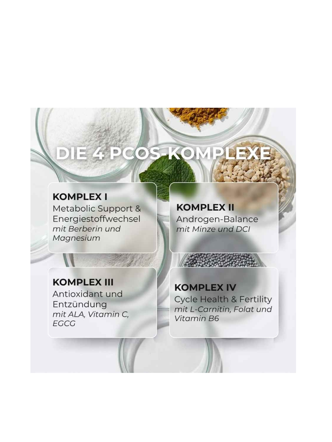(German) (4).png