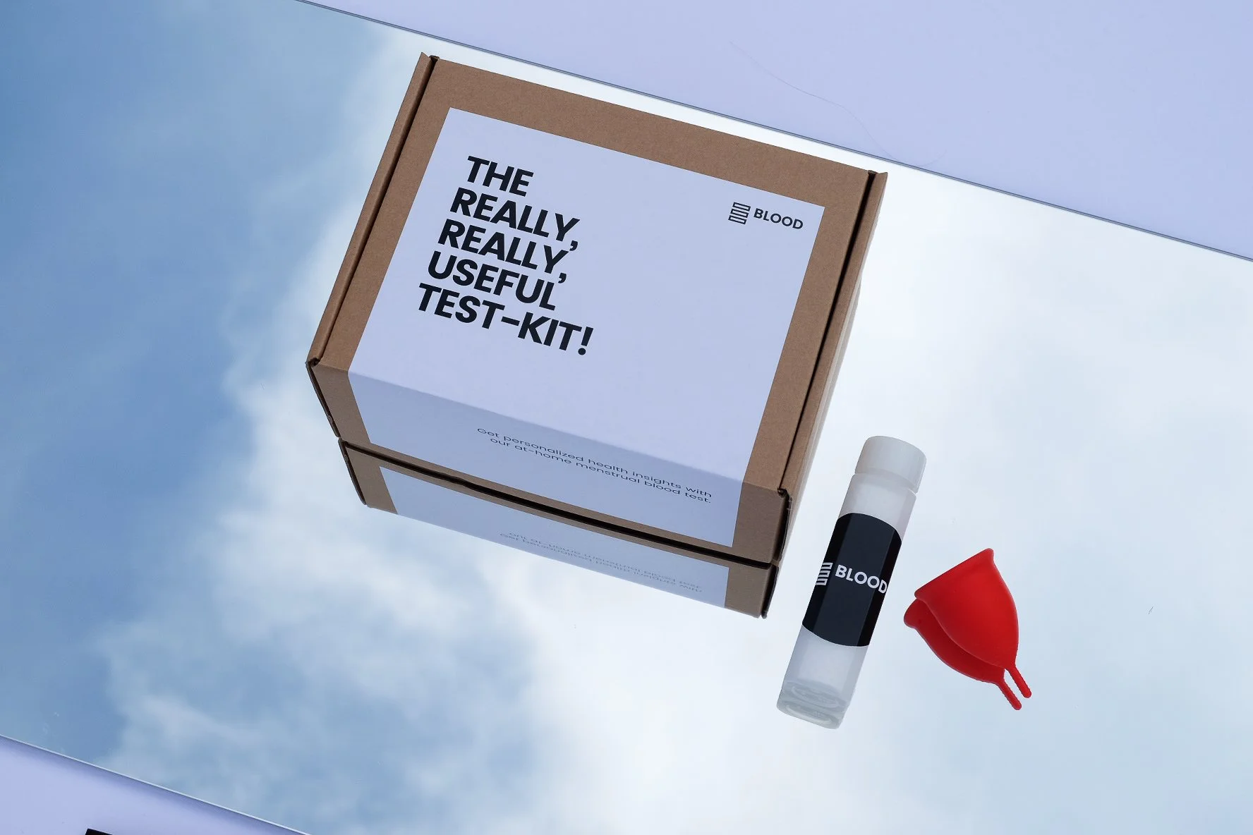 63ee4741de3ab66b95f107d1_Theblood Product2.jpeg