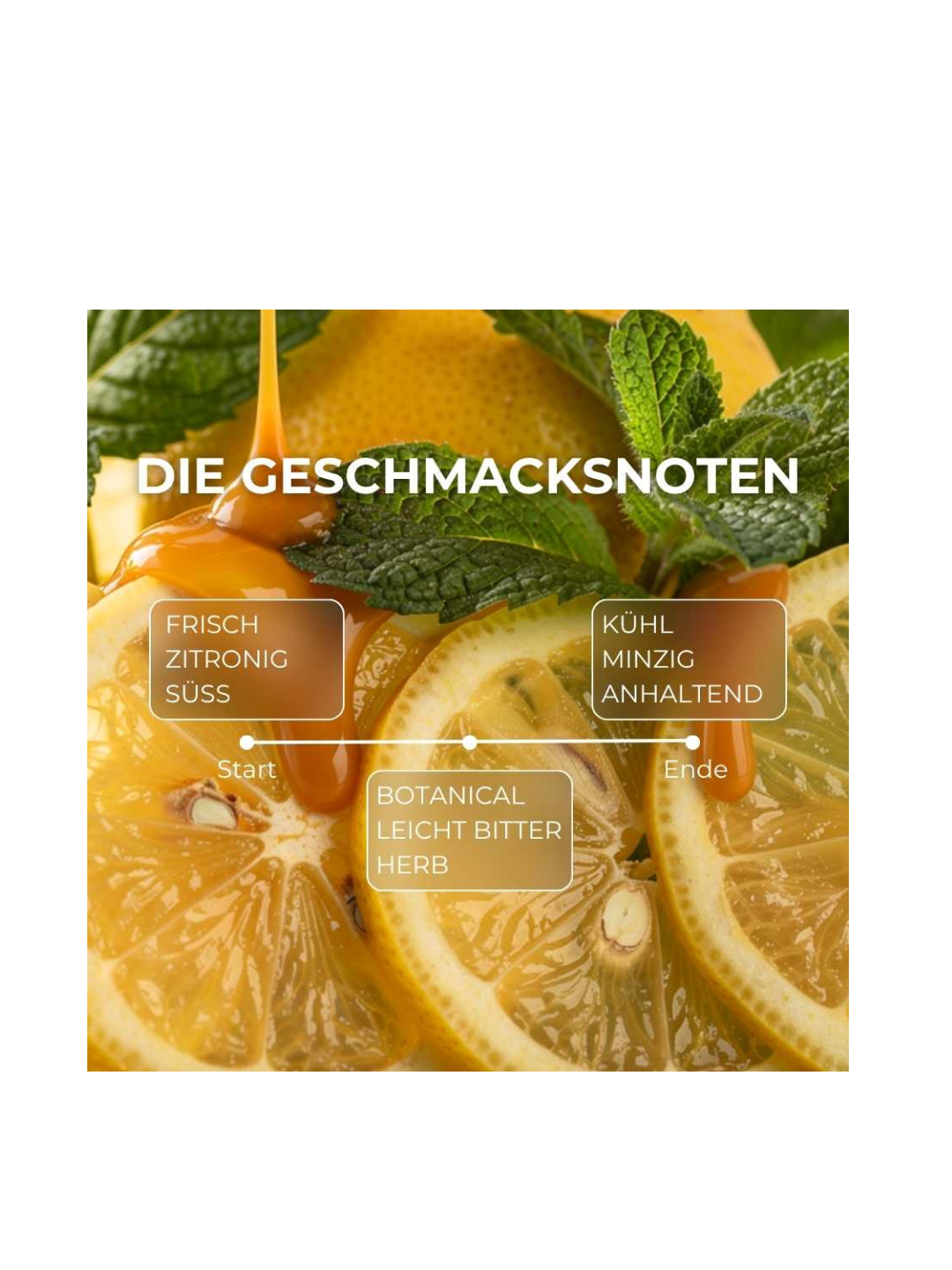 (German) (7).png