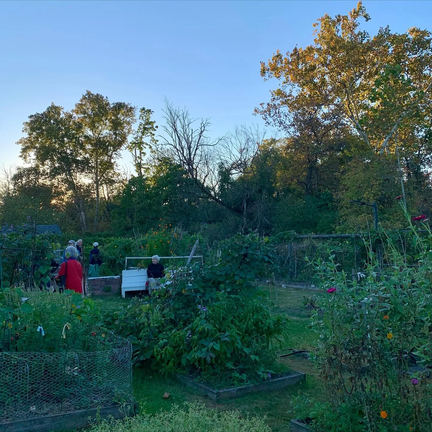 EC HBH Garden 2.jpg