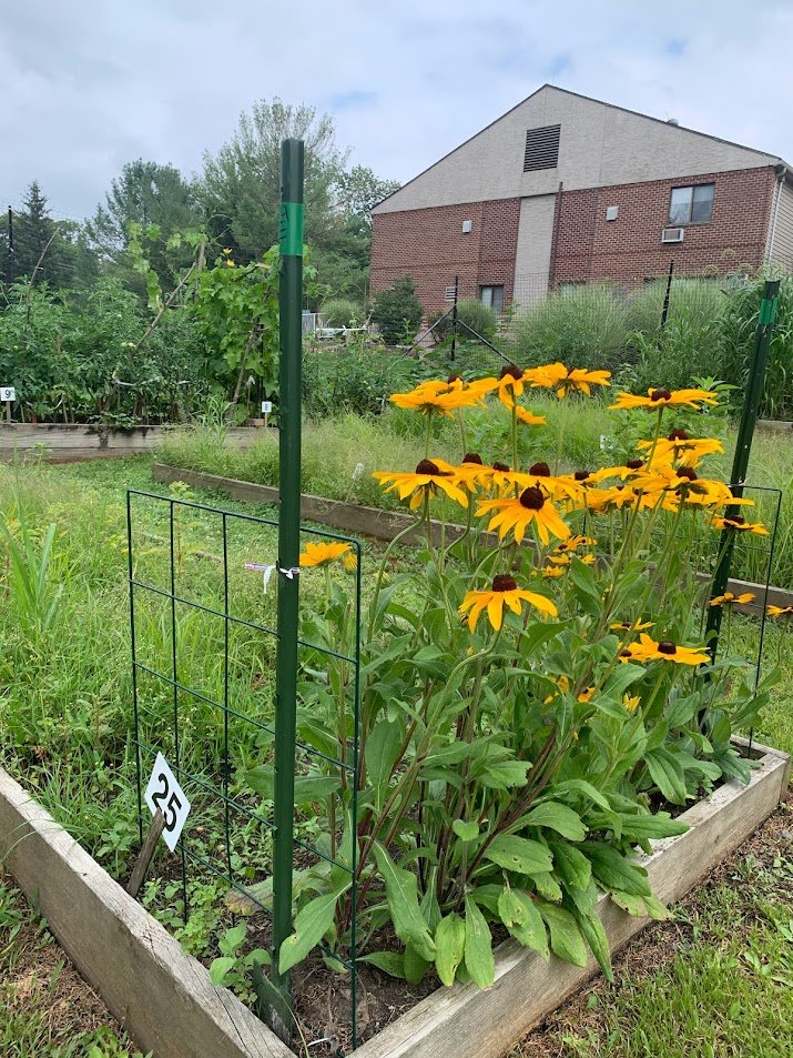 Community Garden 2.jpg