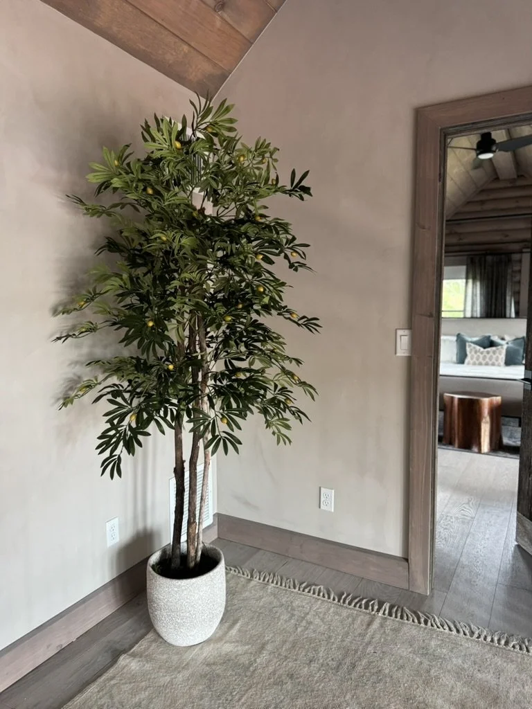 A tall leafy indoor plant in a white textured pot in a corner of a room with light-colored walls and wooden trim, adjacent to an open doorway showing a cozy living area with a window and modern furniture.