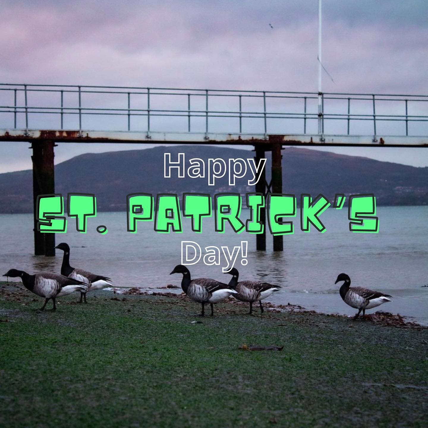 ☘️ Happy St. Patrick&rsquo;s Day ☘️ 

#rniyc #stpatricksday