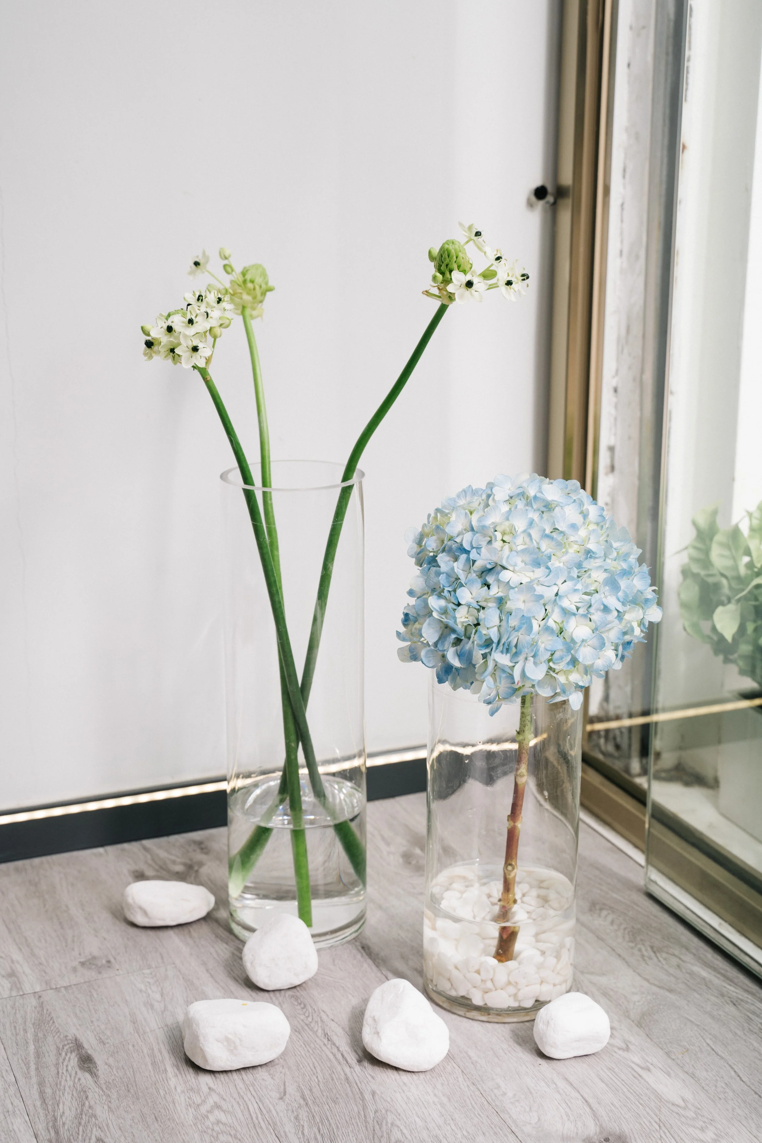 Lisse-230.jpg