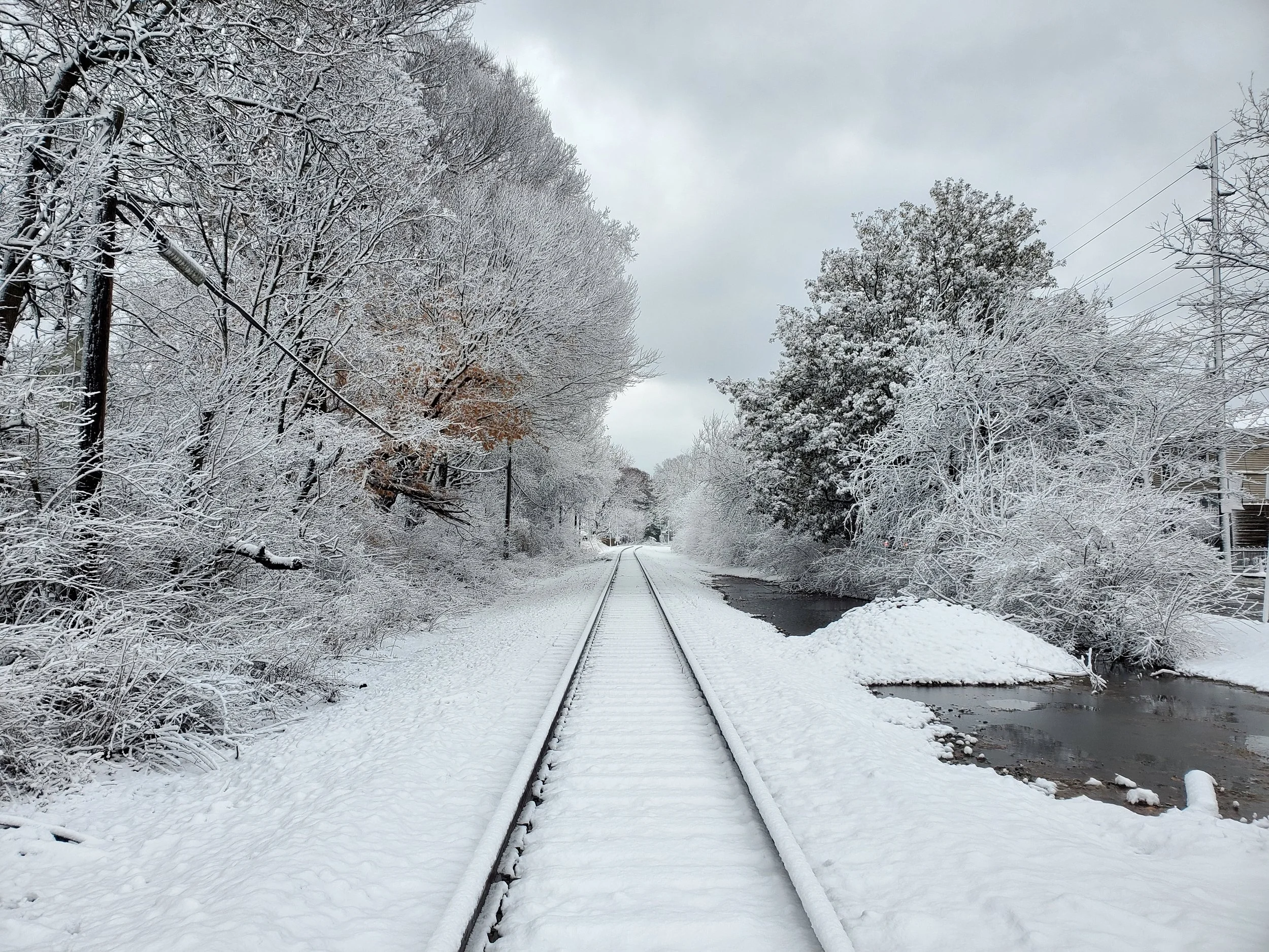 #50 Snowy Tracks