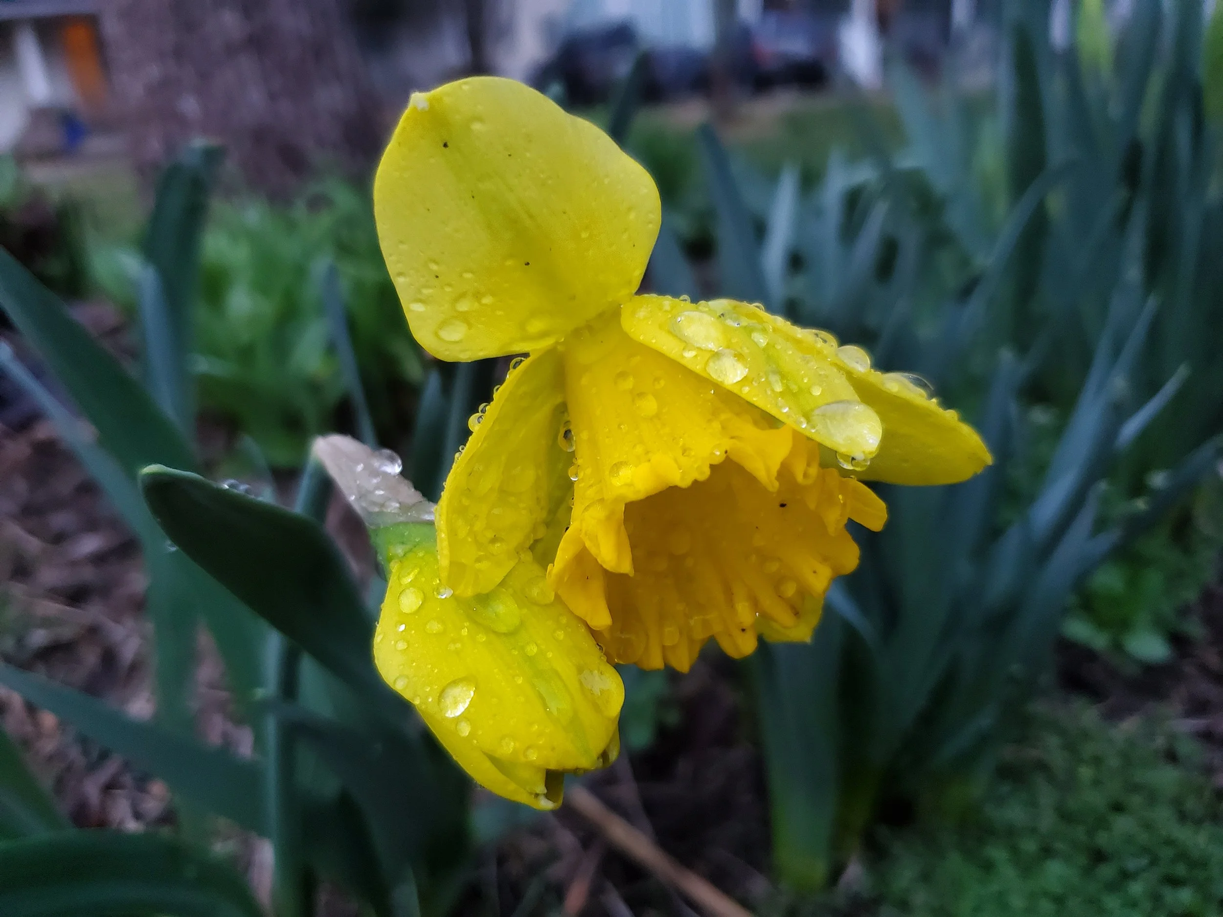 Reclaiming - a retreat for survivors of abuse