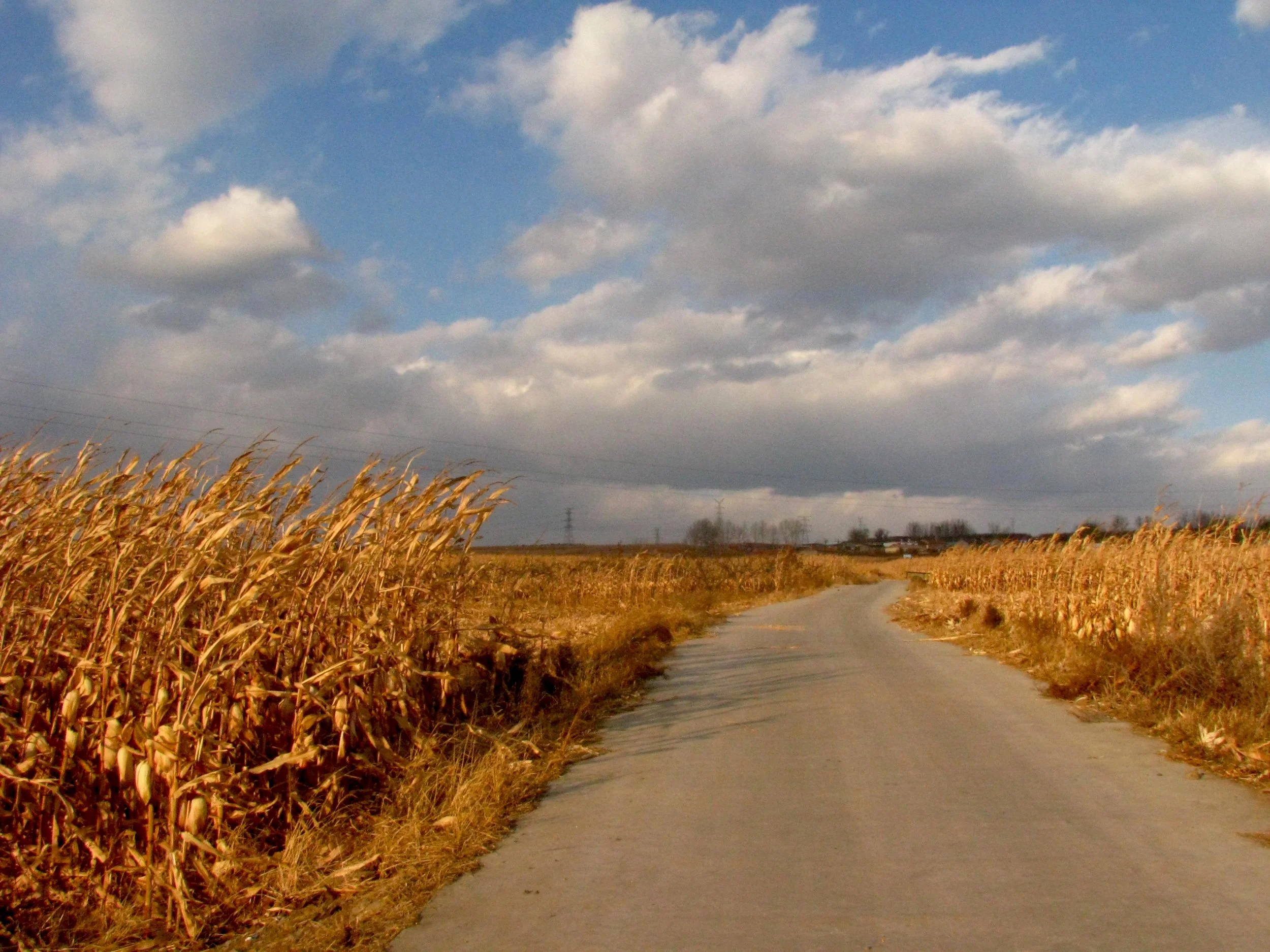 #16 Autumn Farm Road