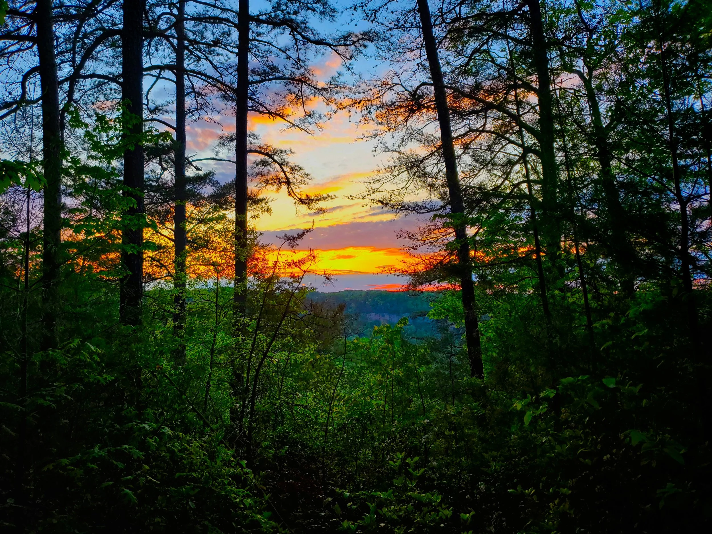 #41 Mountain Sunset