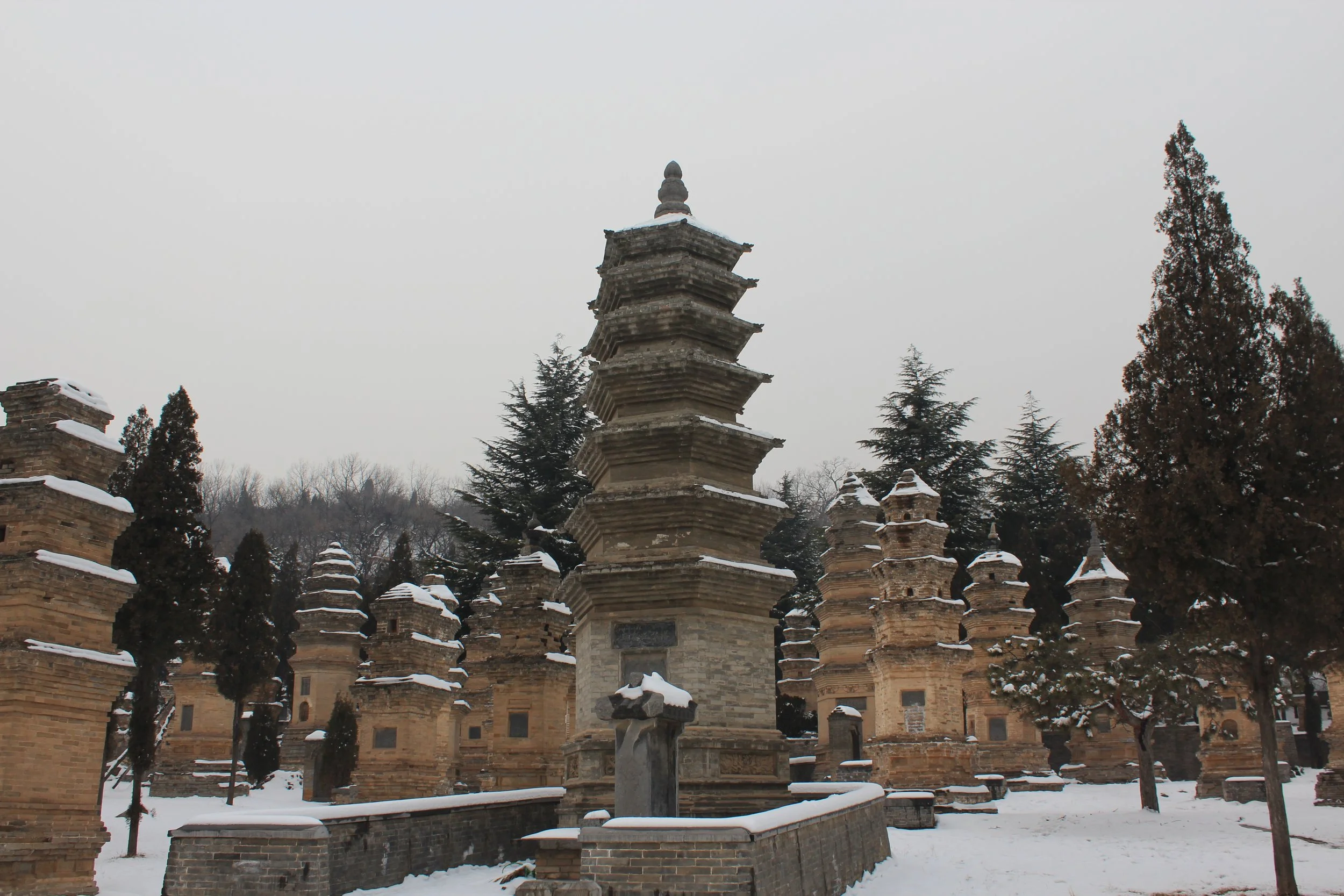 #24 Pagoda Forest
