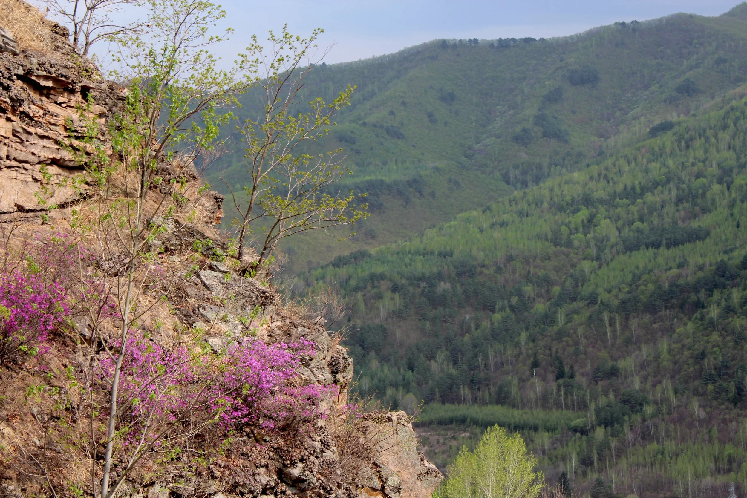 #32 Tumen River Hillside