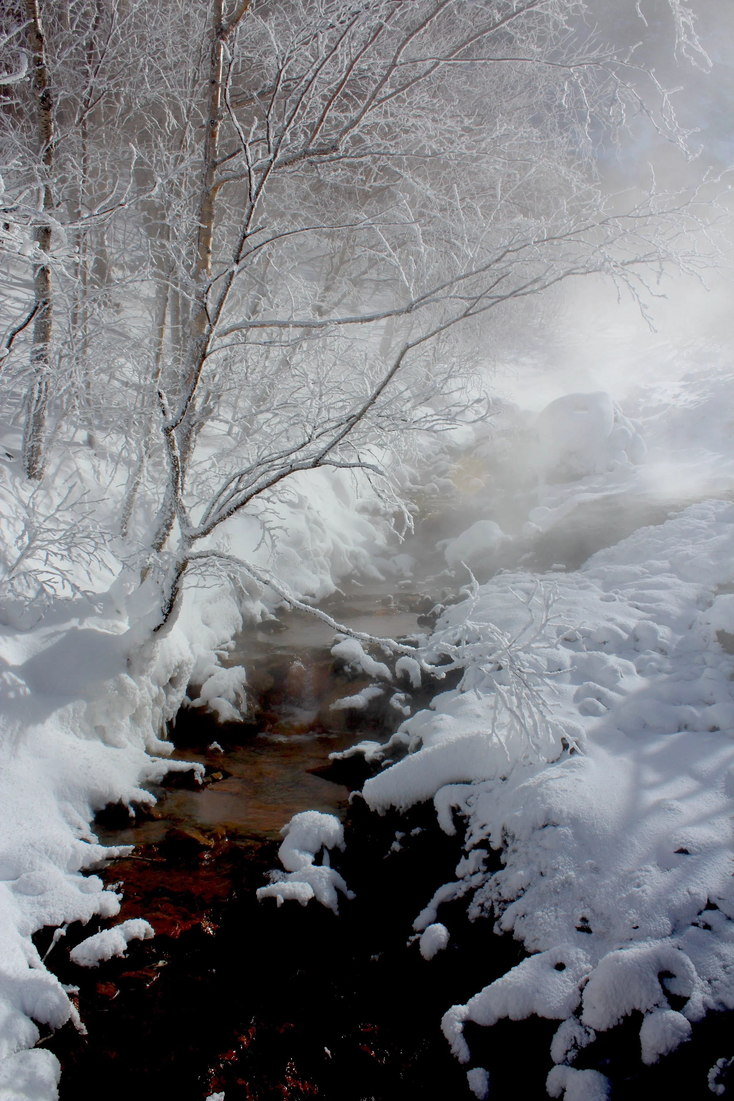 #19 Winter Hot Spring
