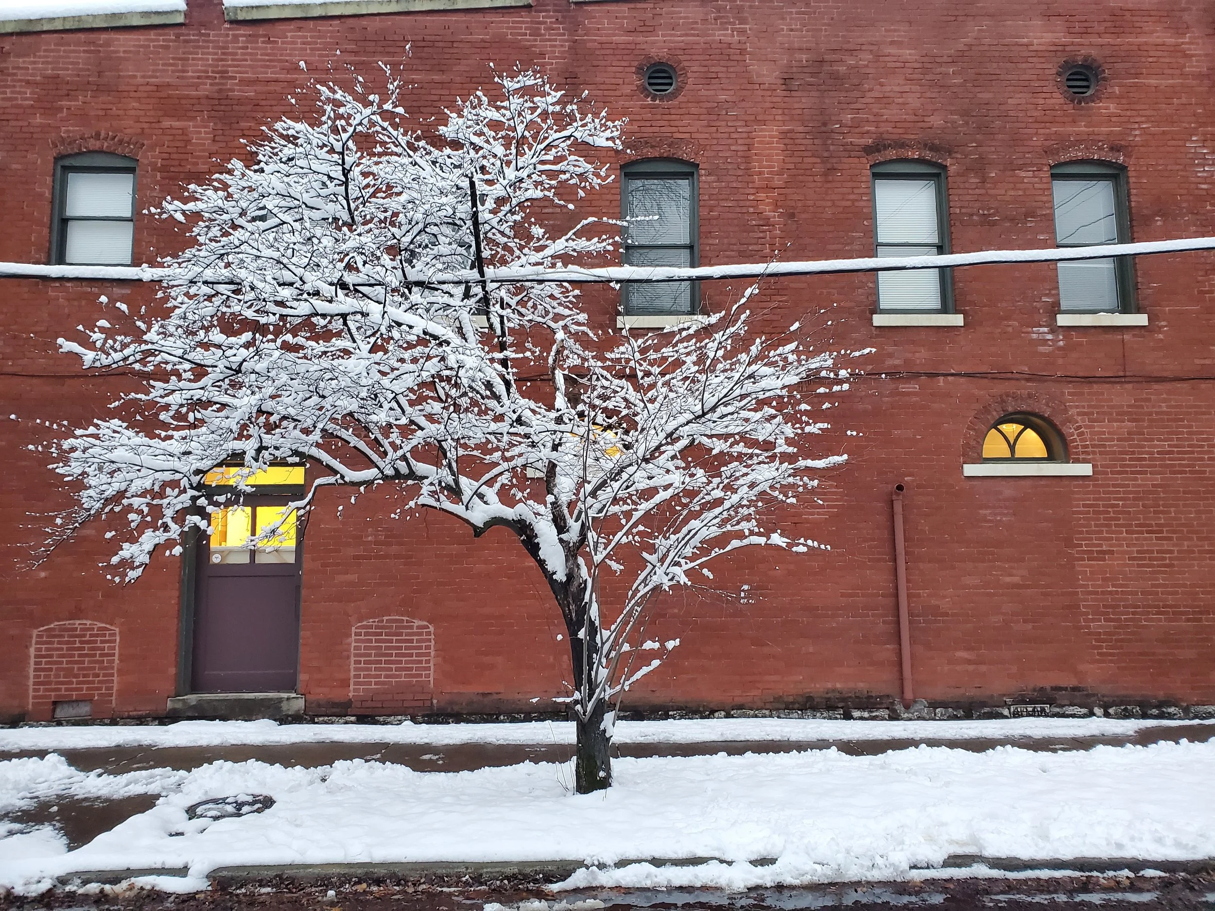 #51 Winter in the City